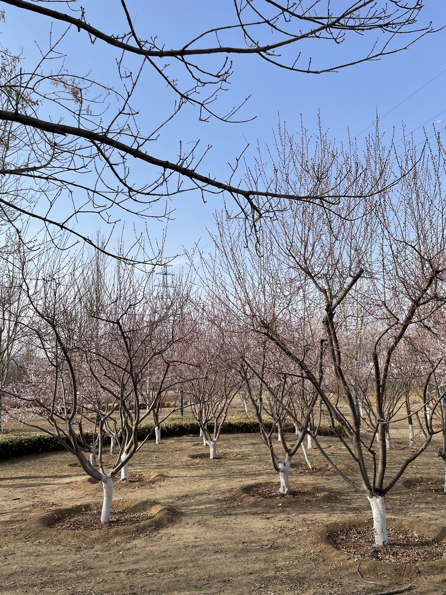 绿海运动公园旅行图片 3