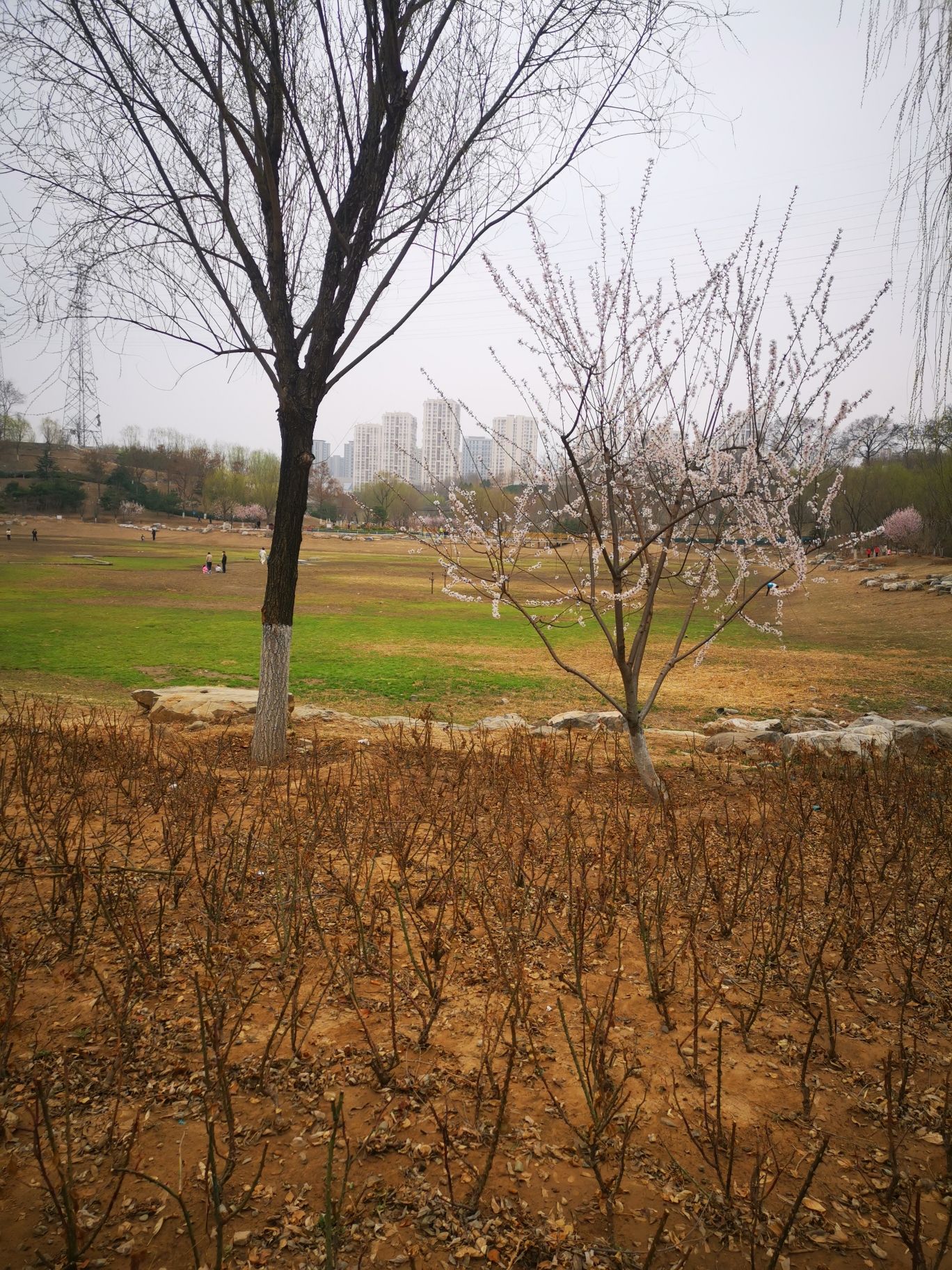 绿海运动公园旅行图片 2