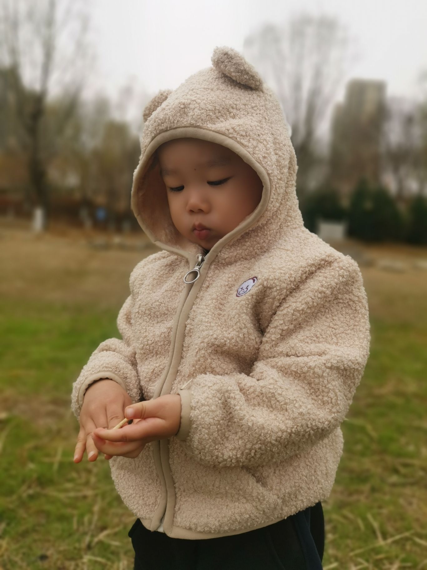 绿海运动公园旅行图片 3
