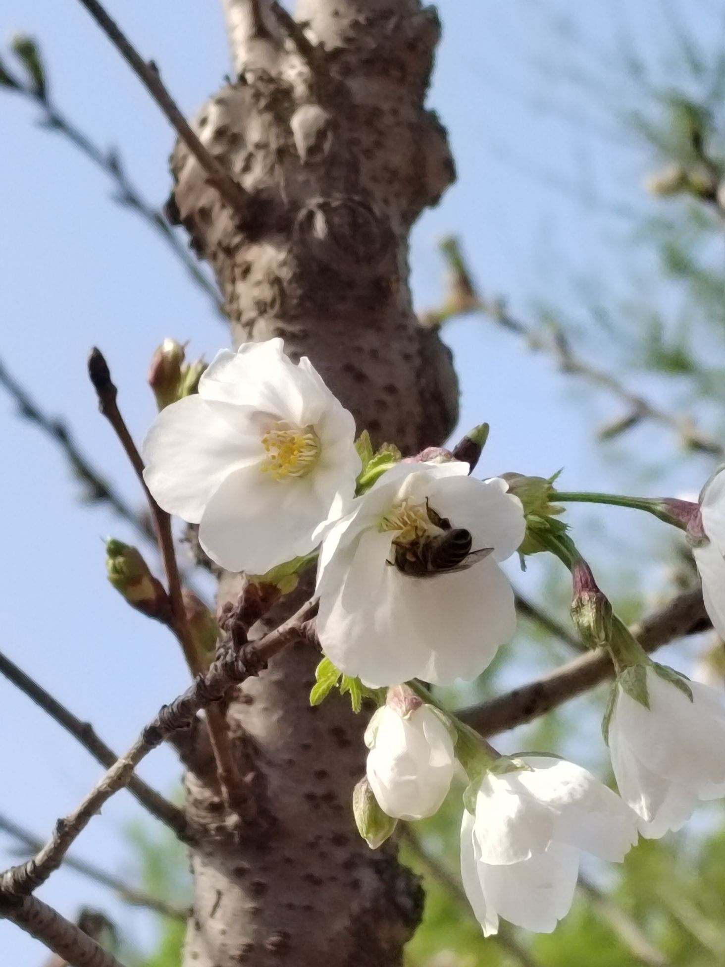 绿海运动公园旅行图片 2