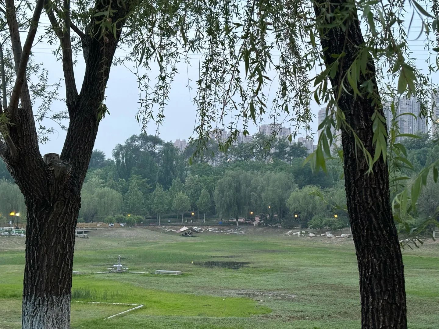 绿海运动公园旅行图片 2