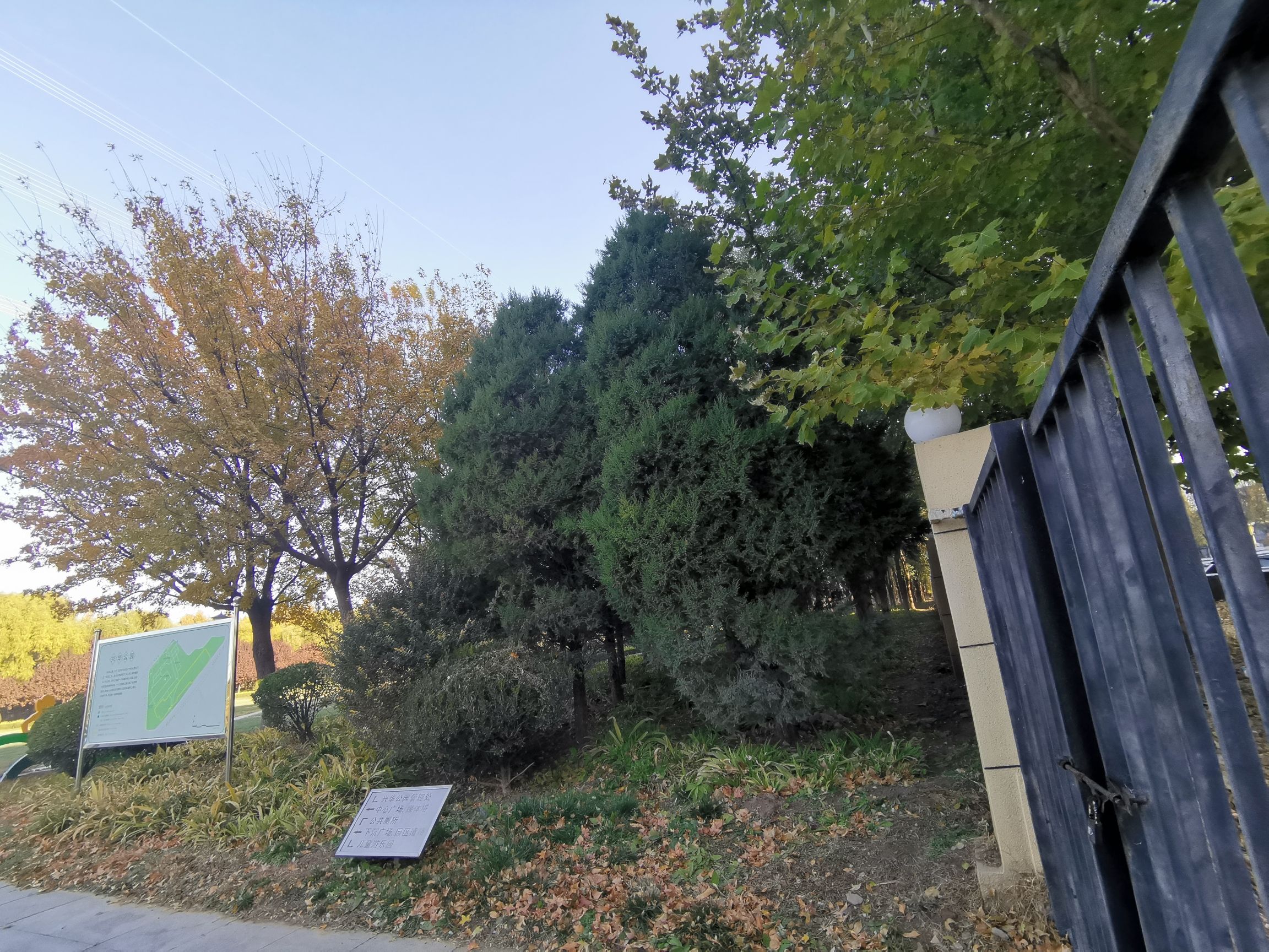 兴华公园旅行图片 3