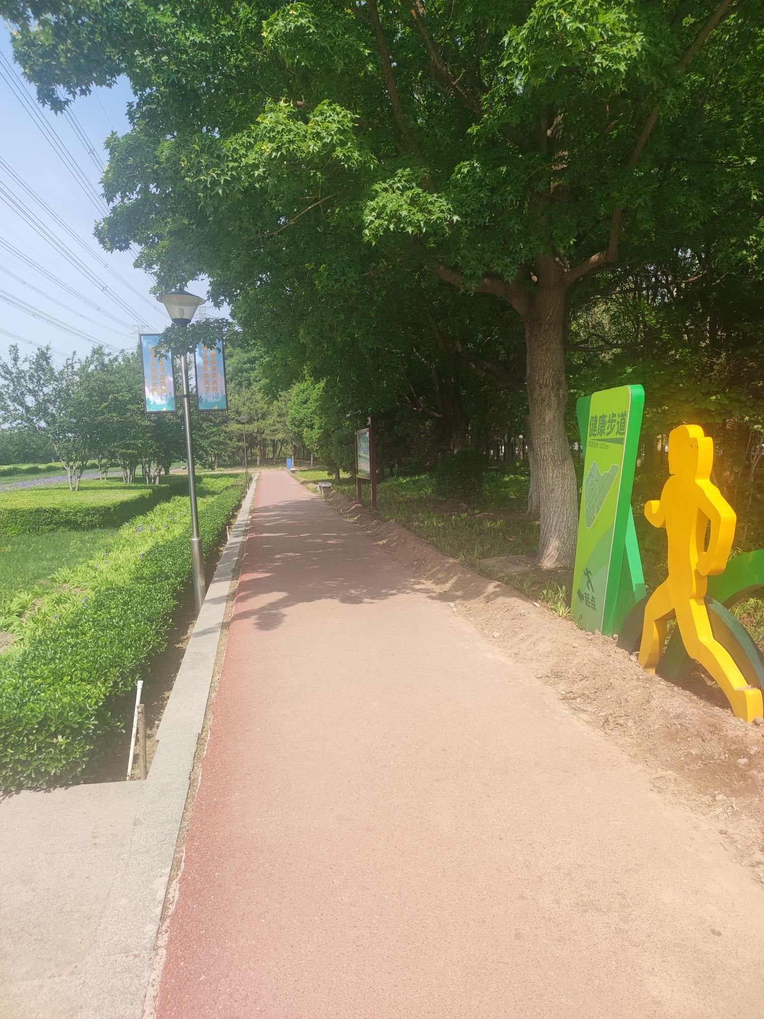 兴华公园旅行图片 3