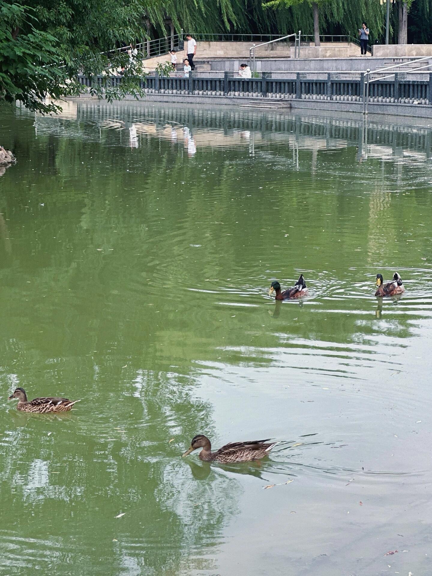 仰山公园旅行图片 3