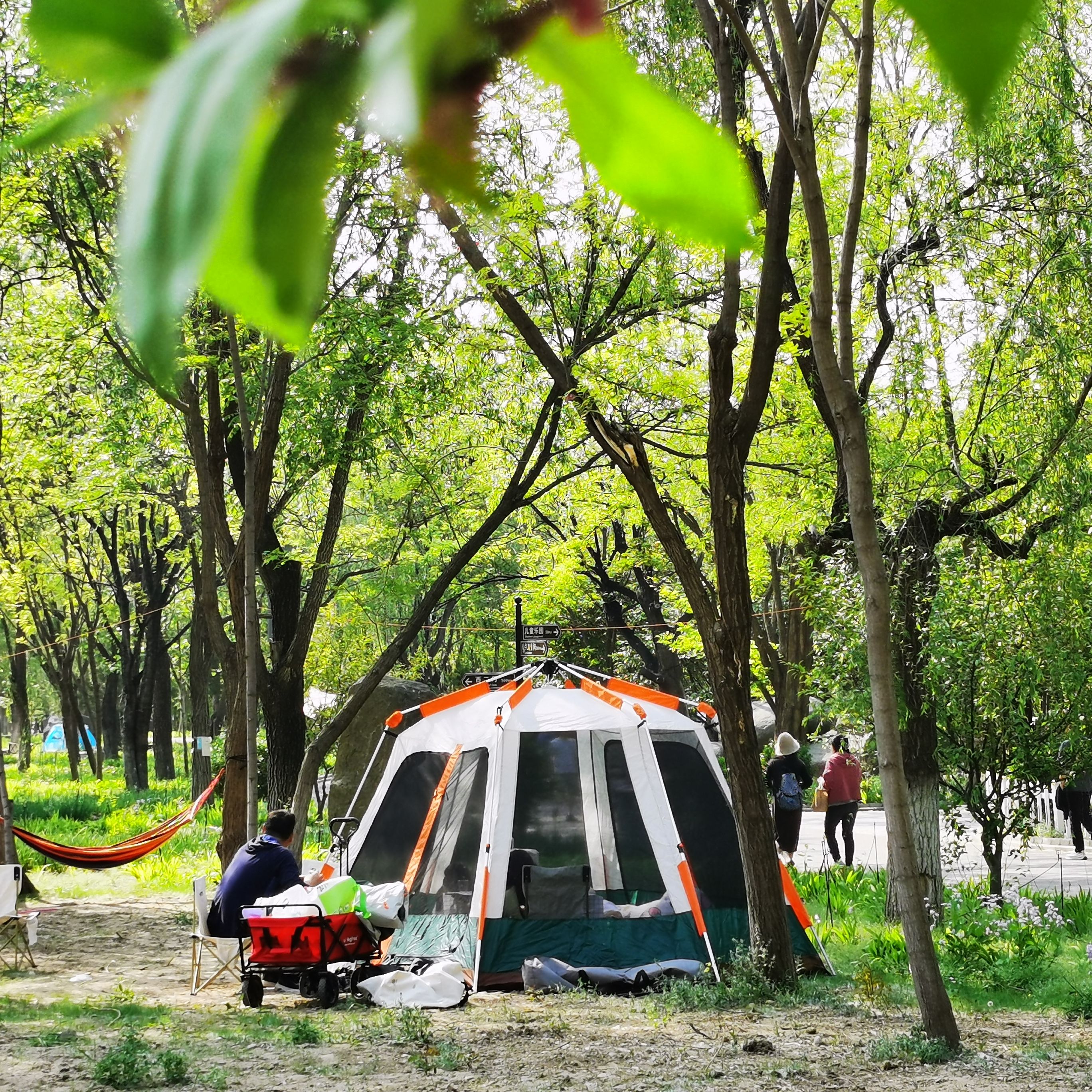 仰山公园旅行图片 2