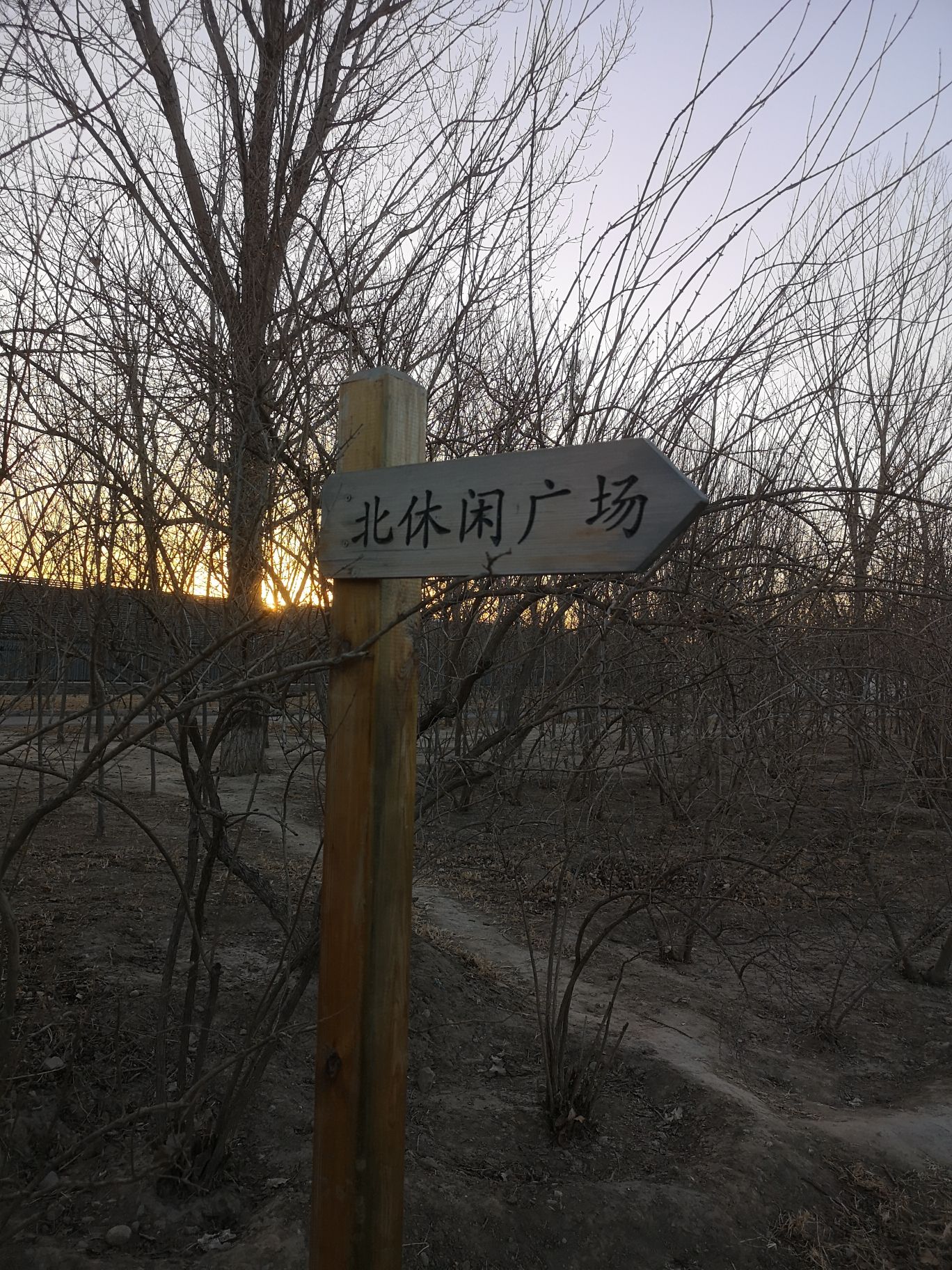 和义公园旅行图片 2