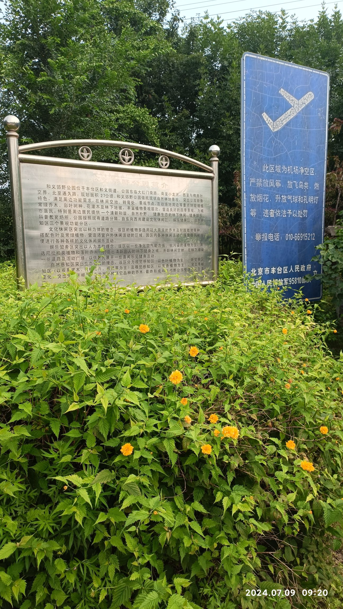 和义公园旅行图片 3