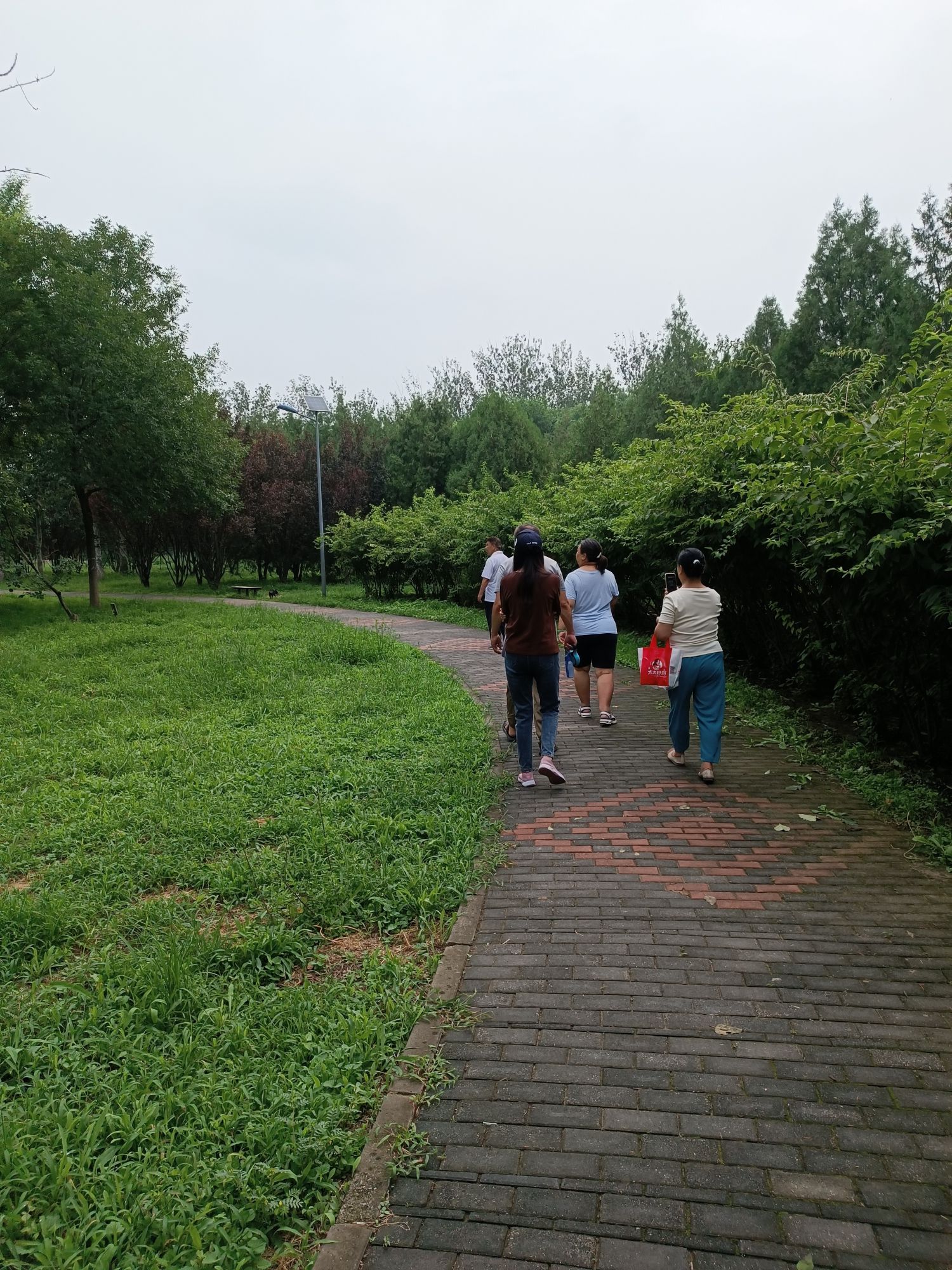 和义公园旅行图片 1