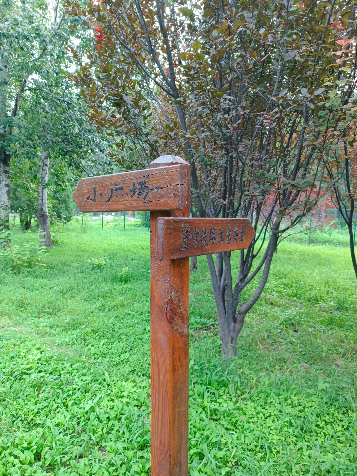 和义公园旅行图片 3