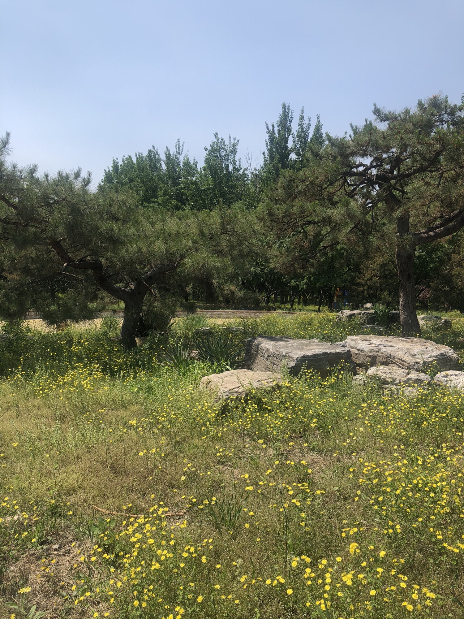 和义公园旅行图片 1