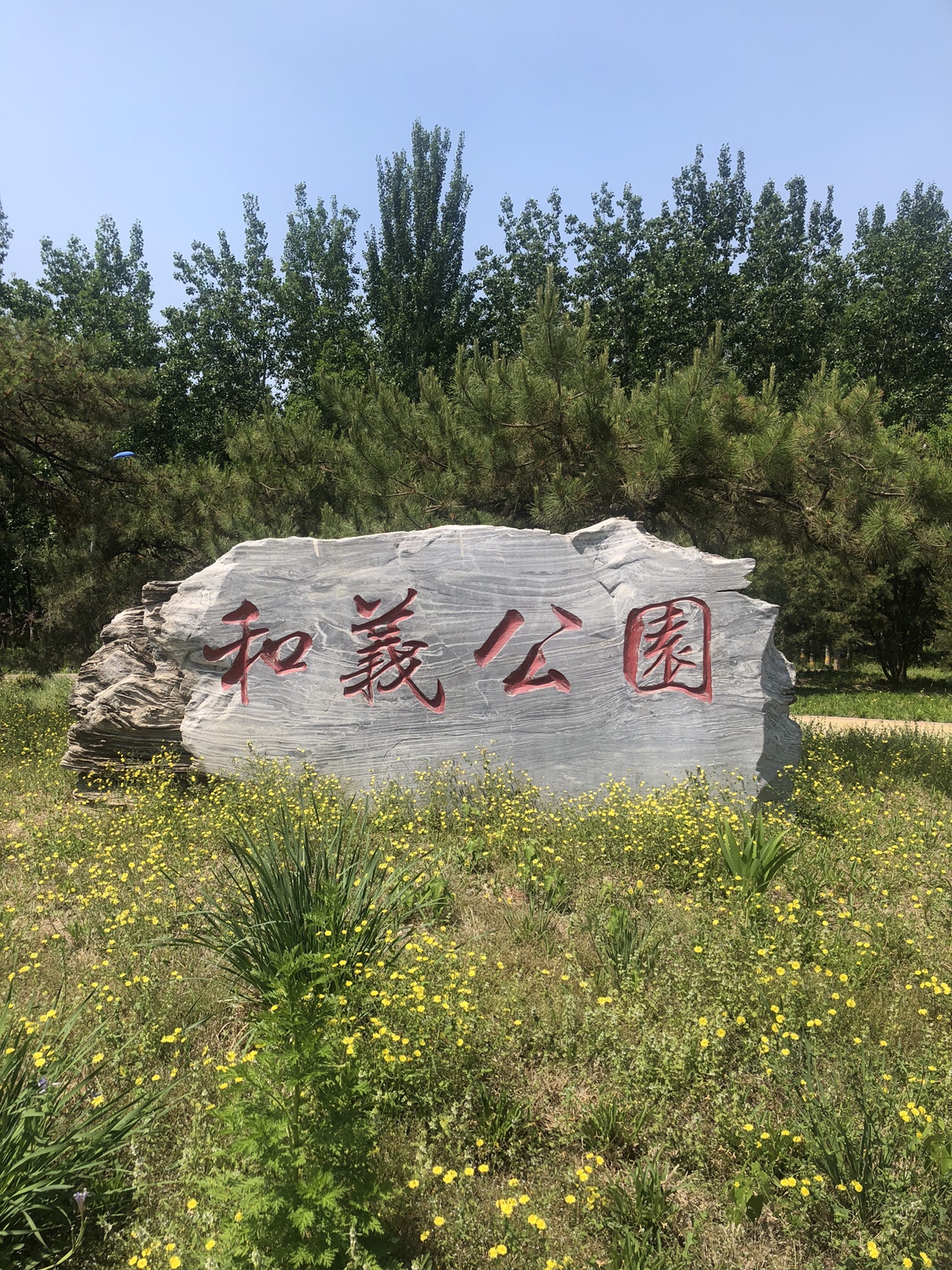 和义公园旅行图片 2