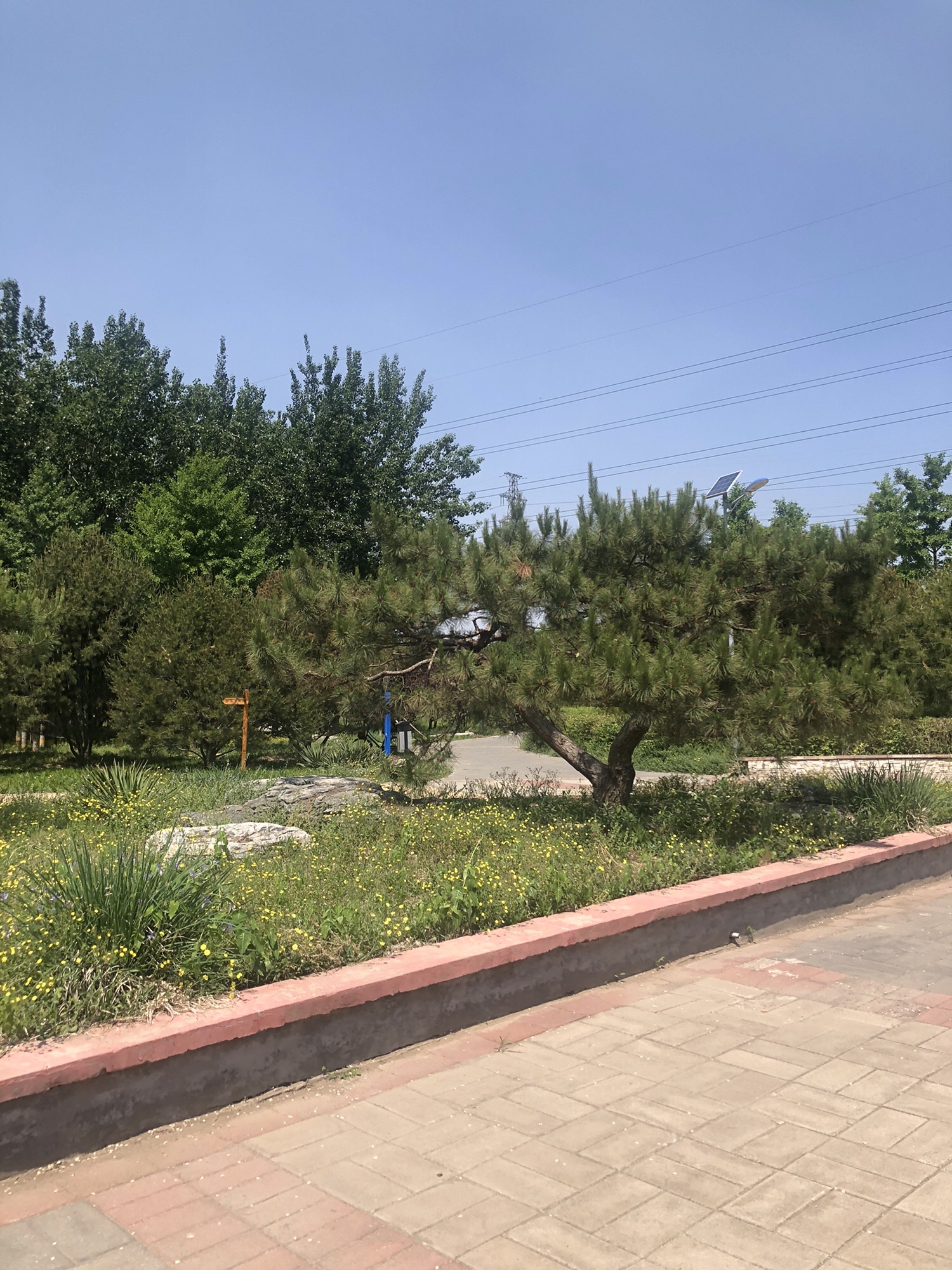 和义公园旅行图片 3