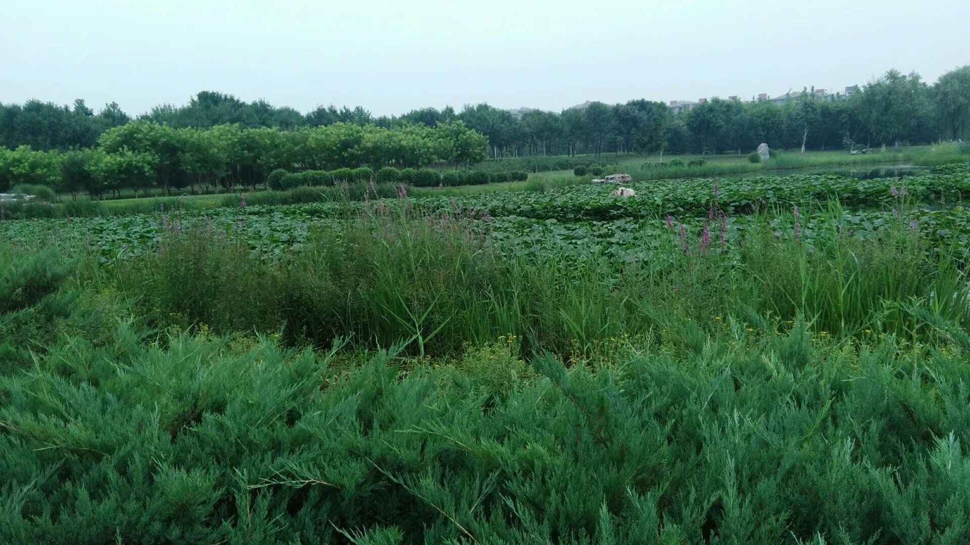 长阳公园旅行图片 3