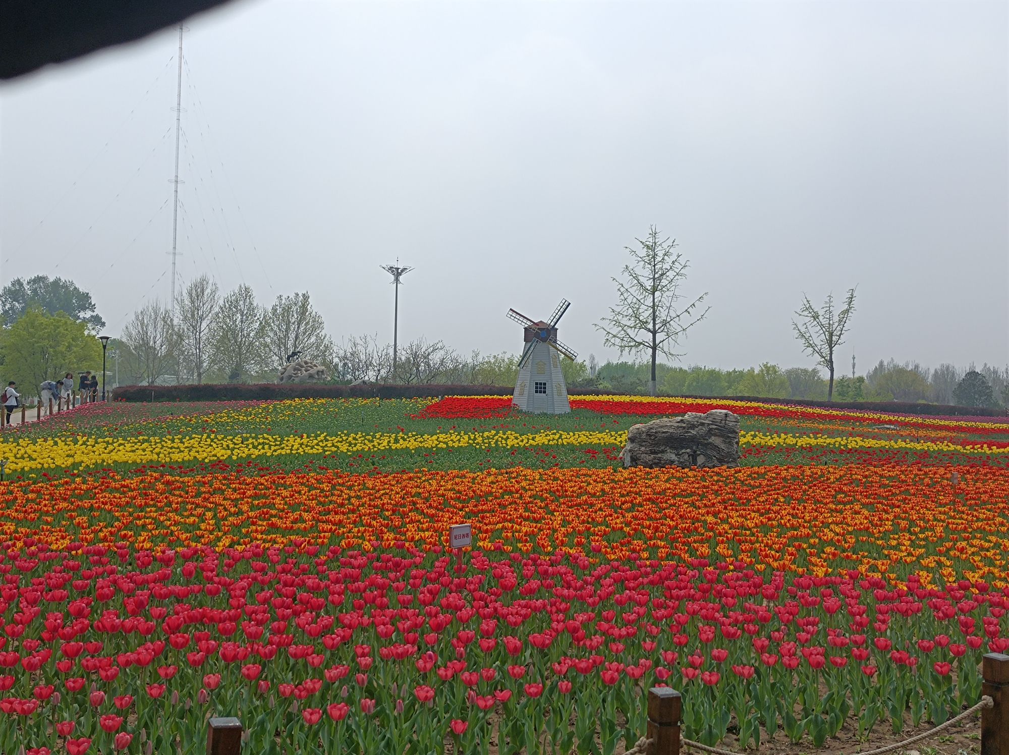 长阳公园旅行图片 2