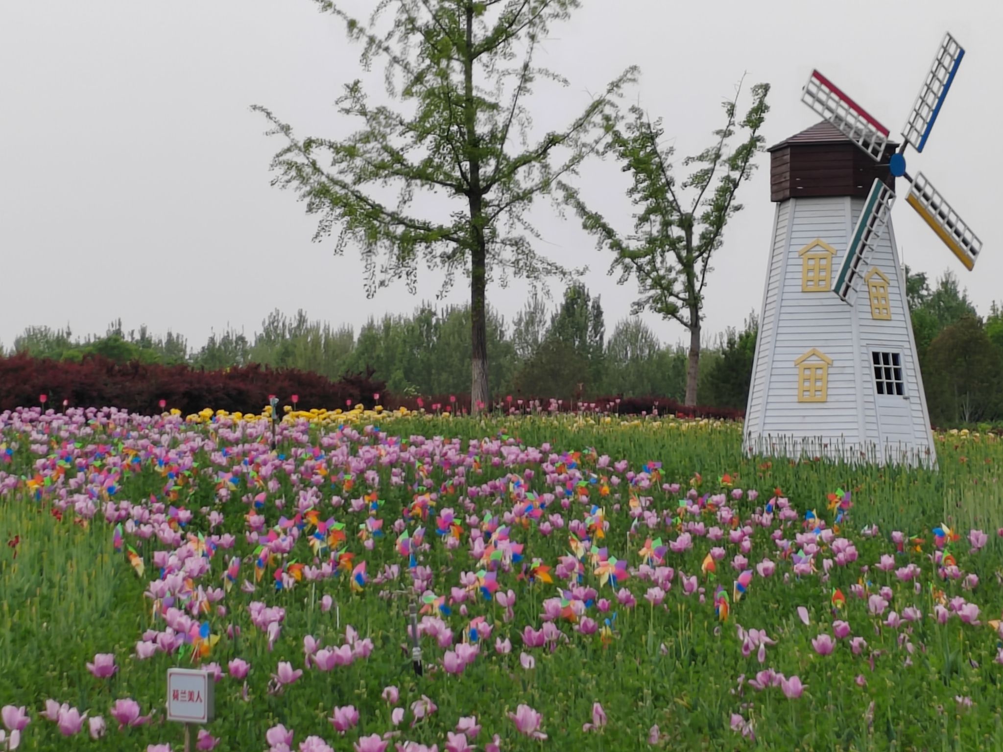 长阳公园旅行图片 1