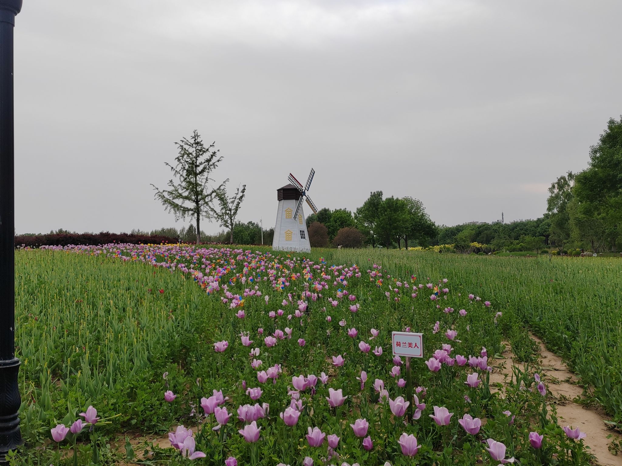 长阳公园旅行图片 3
