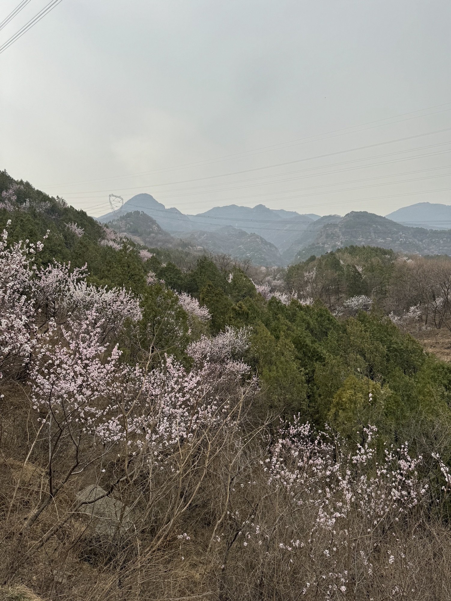 龙潭谷景区旅行图片 2