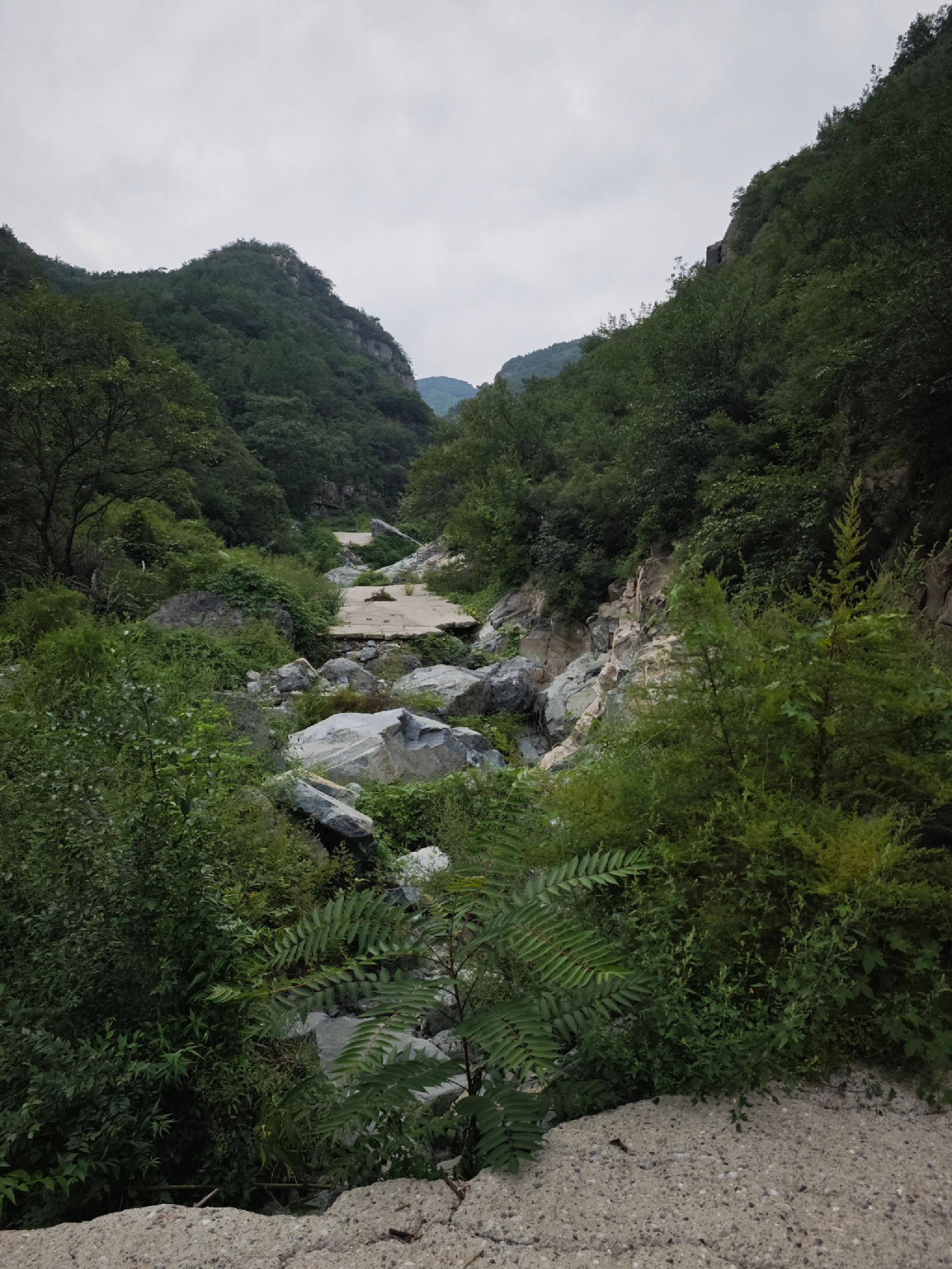 龙潭谷景区旅行图片 2
