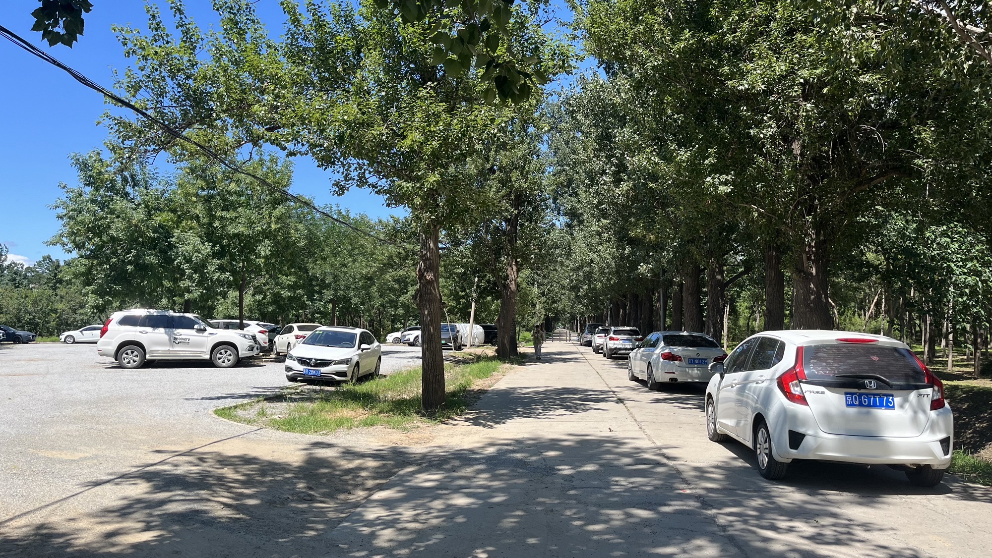中关村公园旅行图片 2
