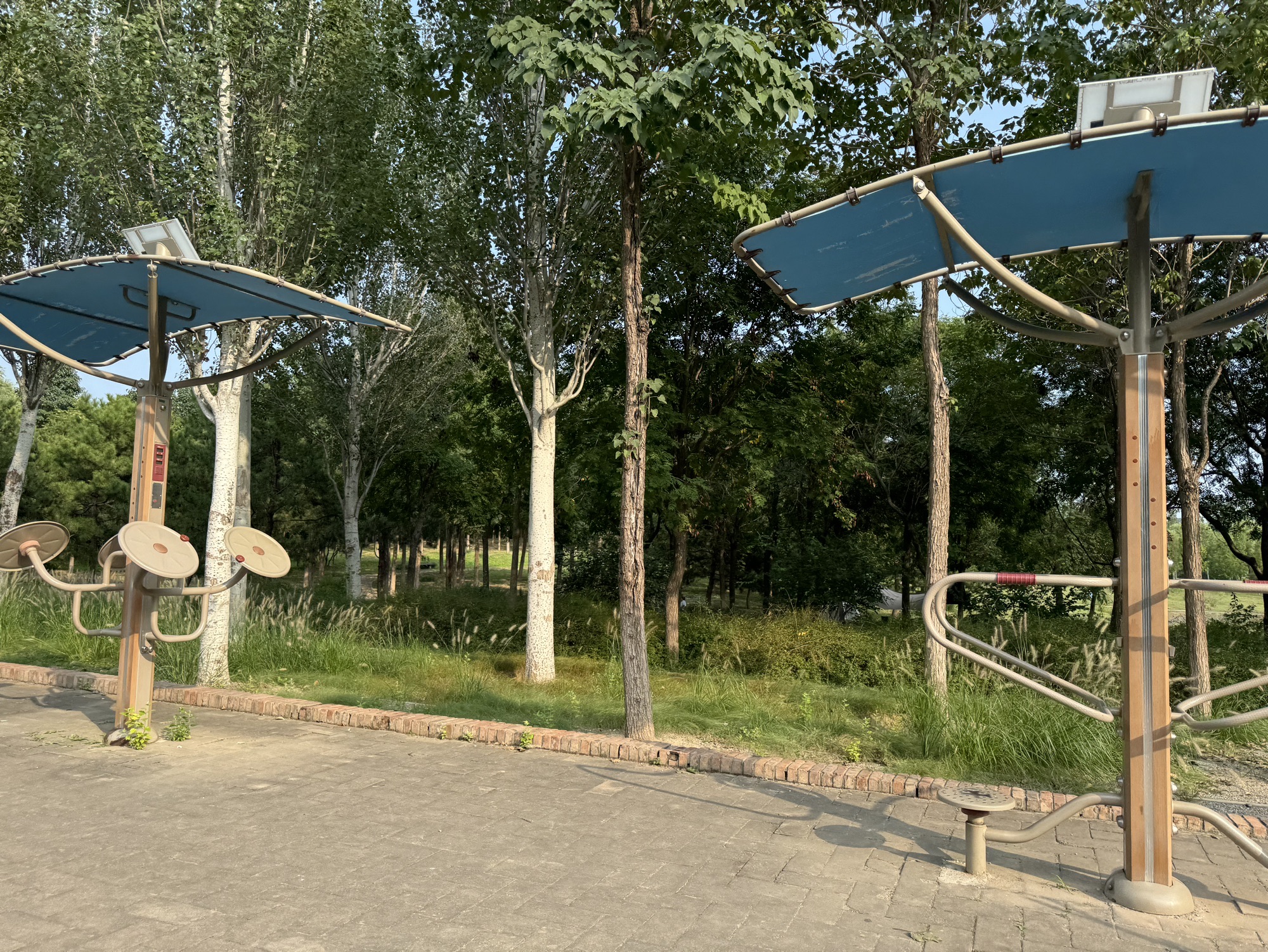 中关村公园旅行图片 2