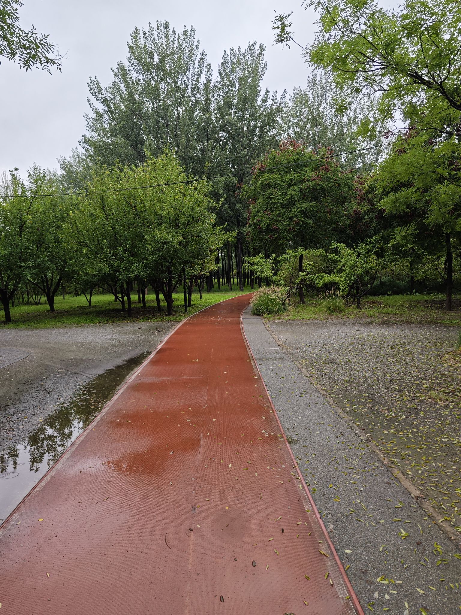 中关村公园旅行图片 3