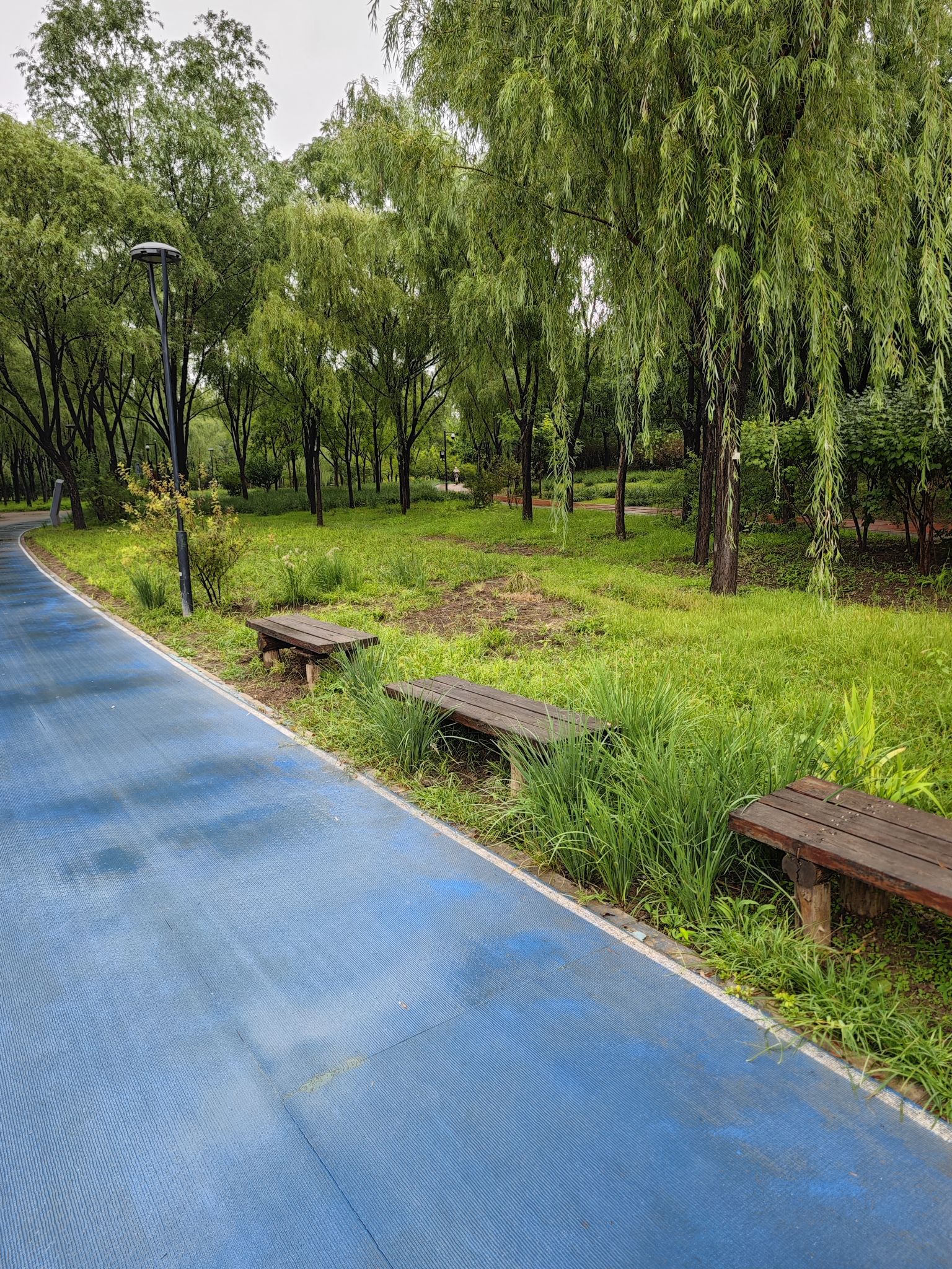 中关村公园旅行图片 1