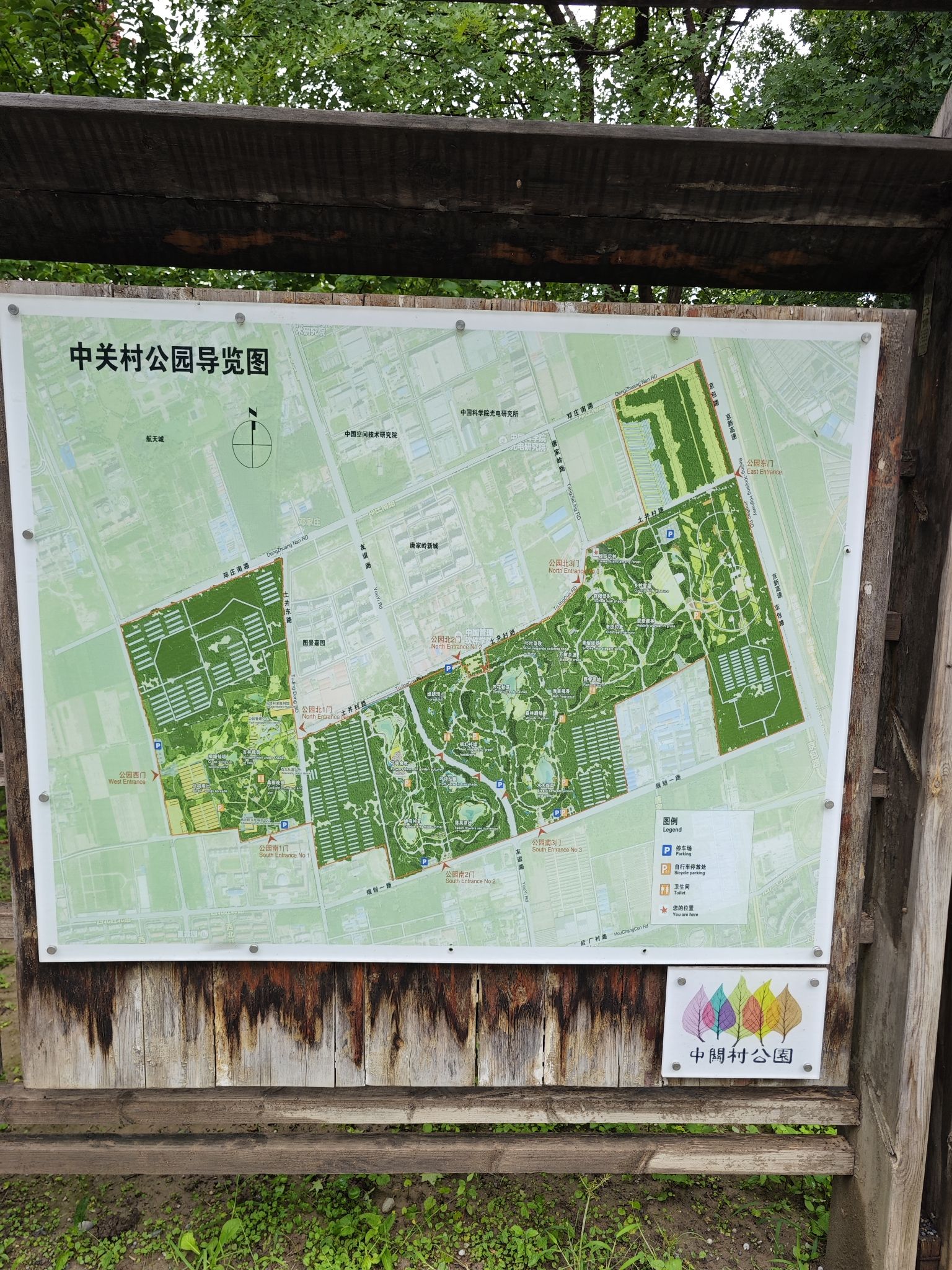 中关村公园旅行图片 2