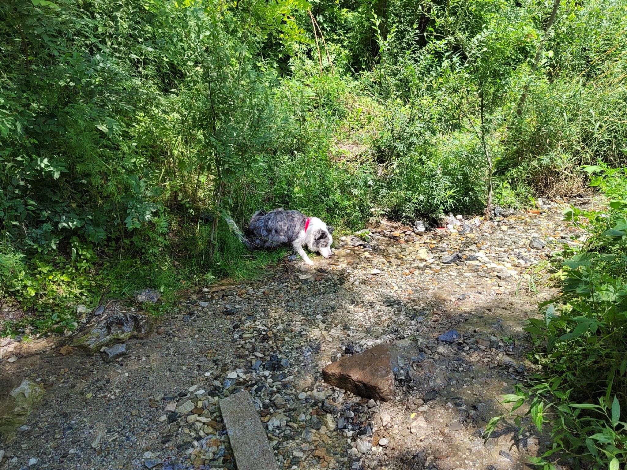 佛岩寺自然风景区旅行图片 2