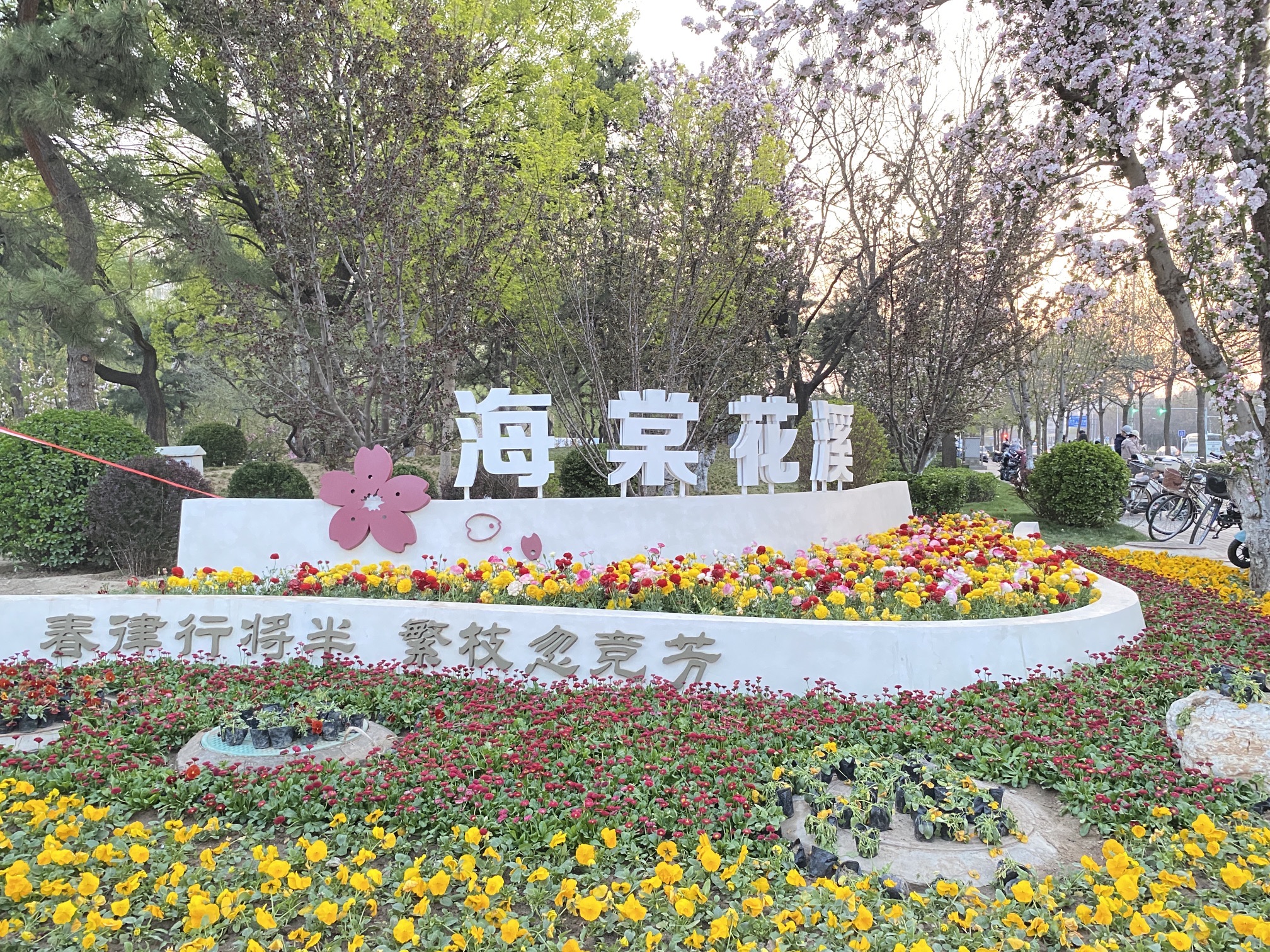 元大都城垣遗址公园旅行图片 2