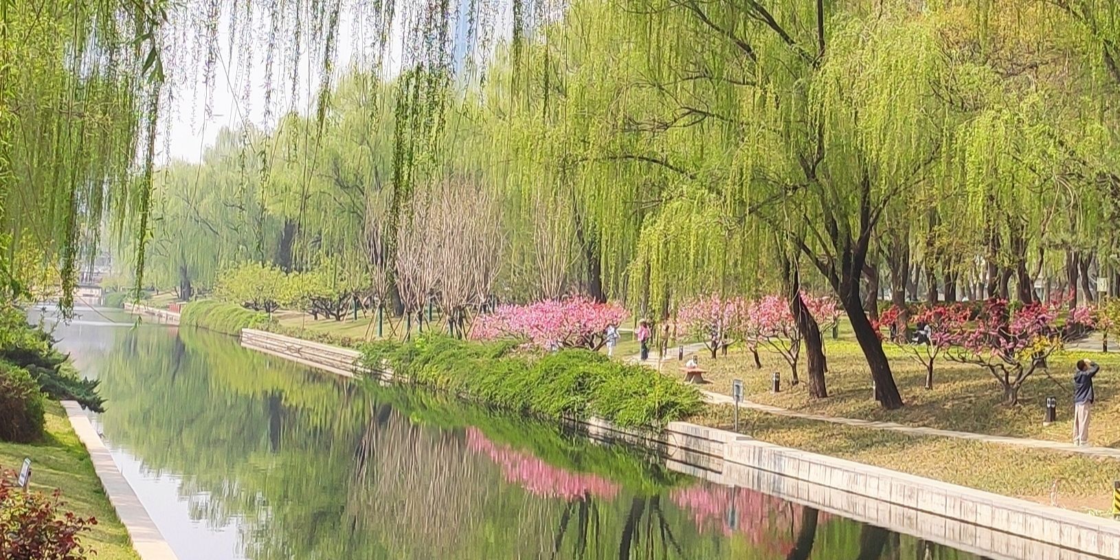 元大都城垣遗址公园旅行图片 1