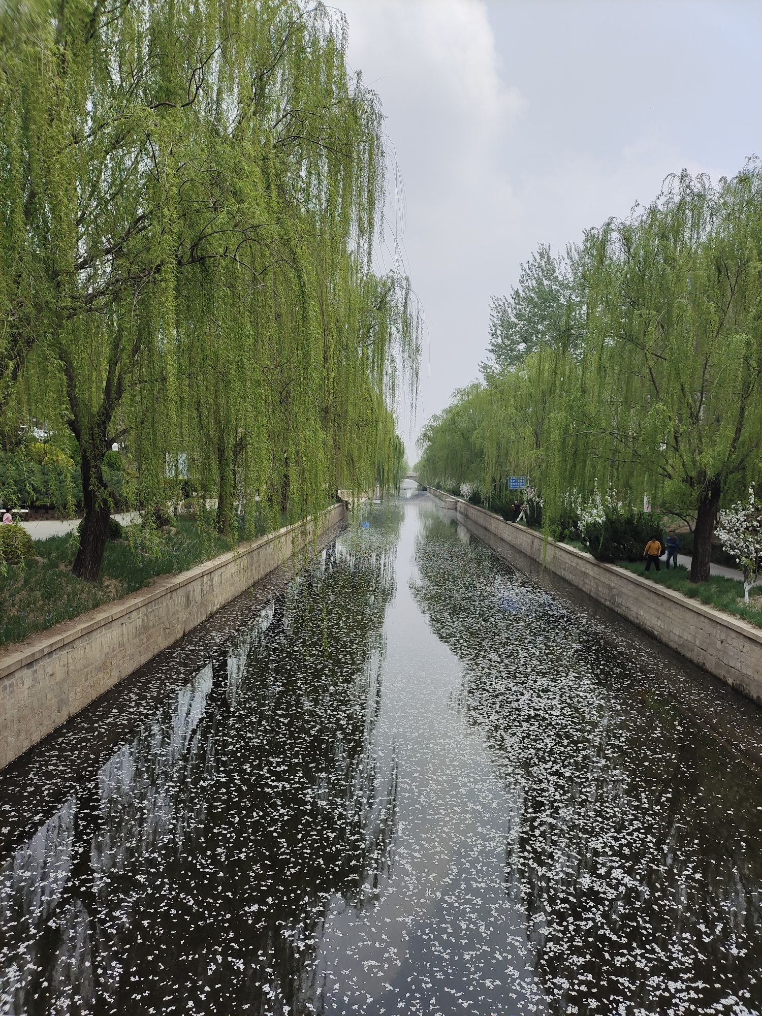 元大都城垣遗址公园旅行图片 2