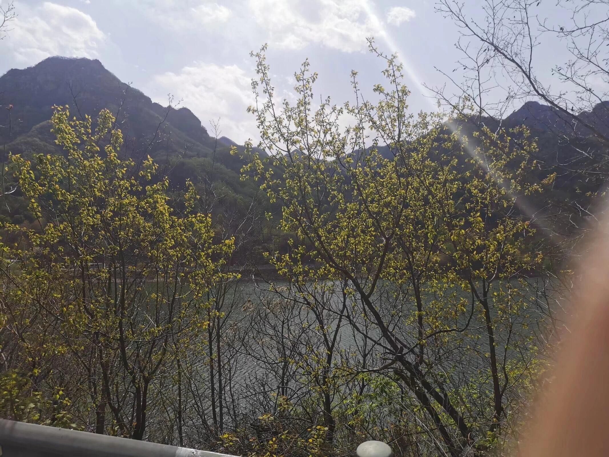 平谷桃花海旅行图片 2