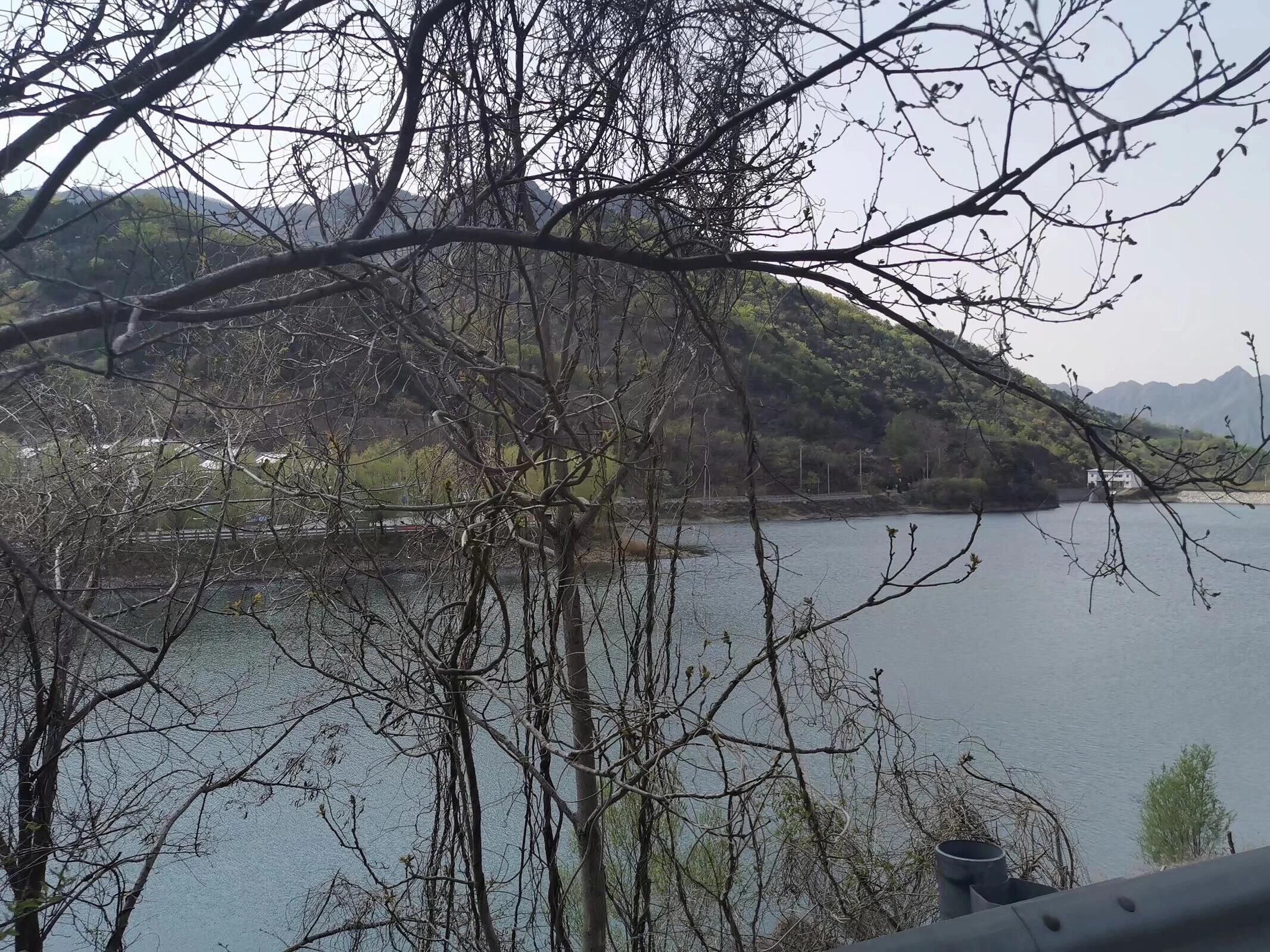 平谷桃花海旅行图片 3