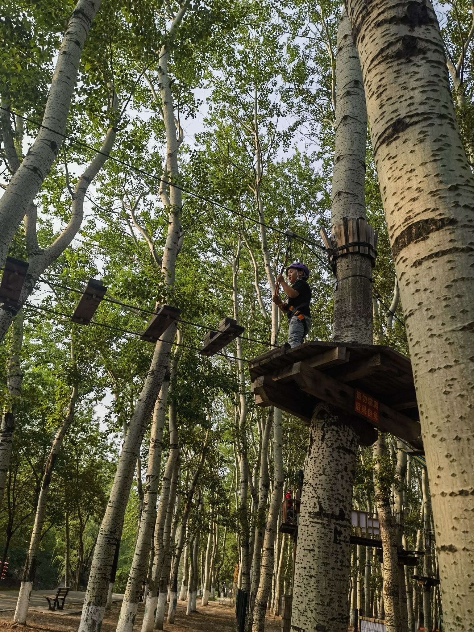 场地封面-快乐猩猩树上穿越(朝阳公园店)
