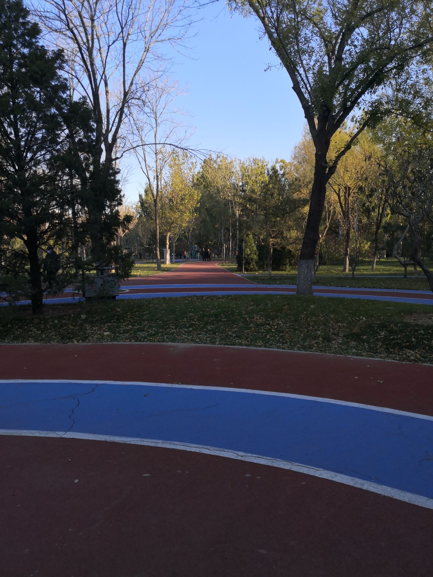 绿源公园旅行图片 3
