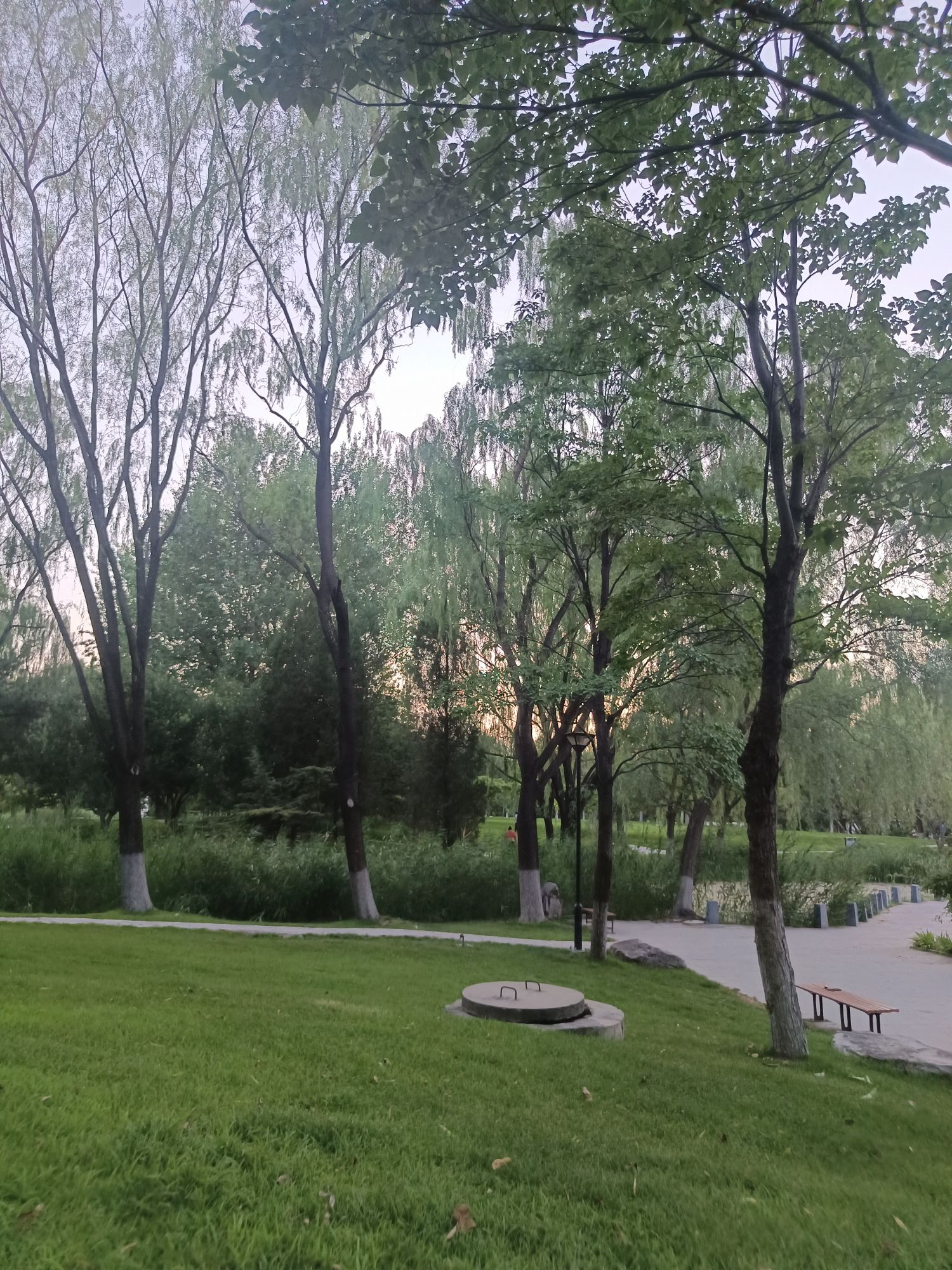 绿源公园旅行图片 2