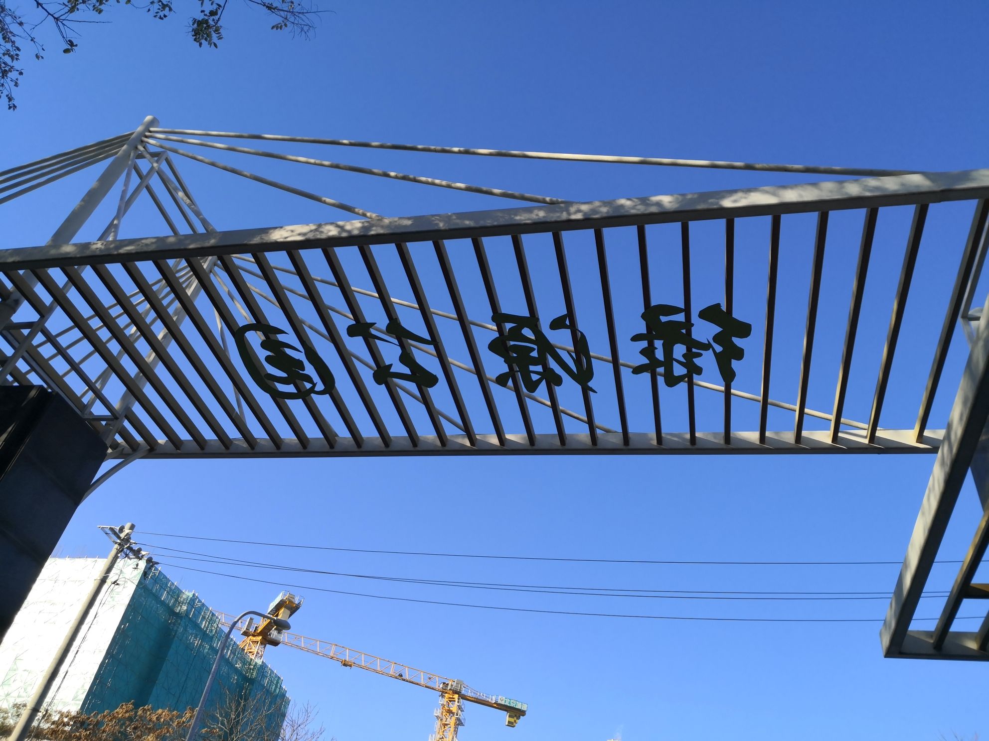 绿源公园旅行图片 2