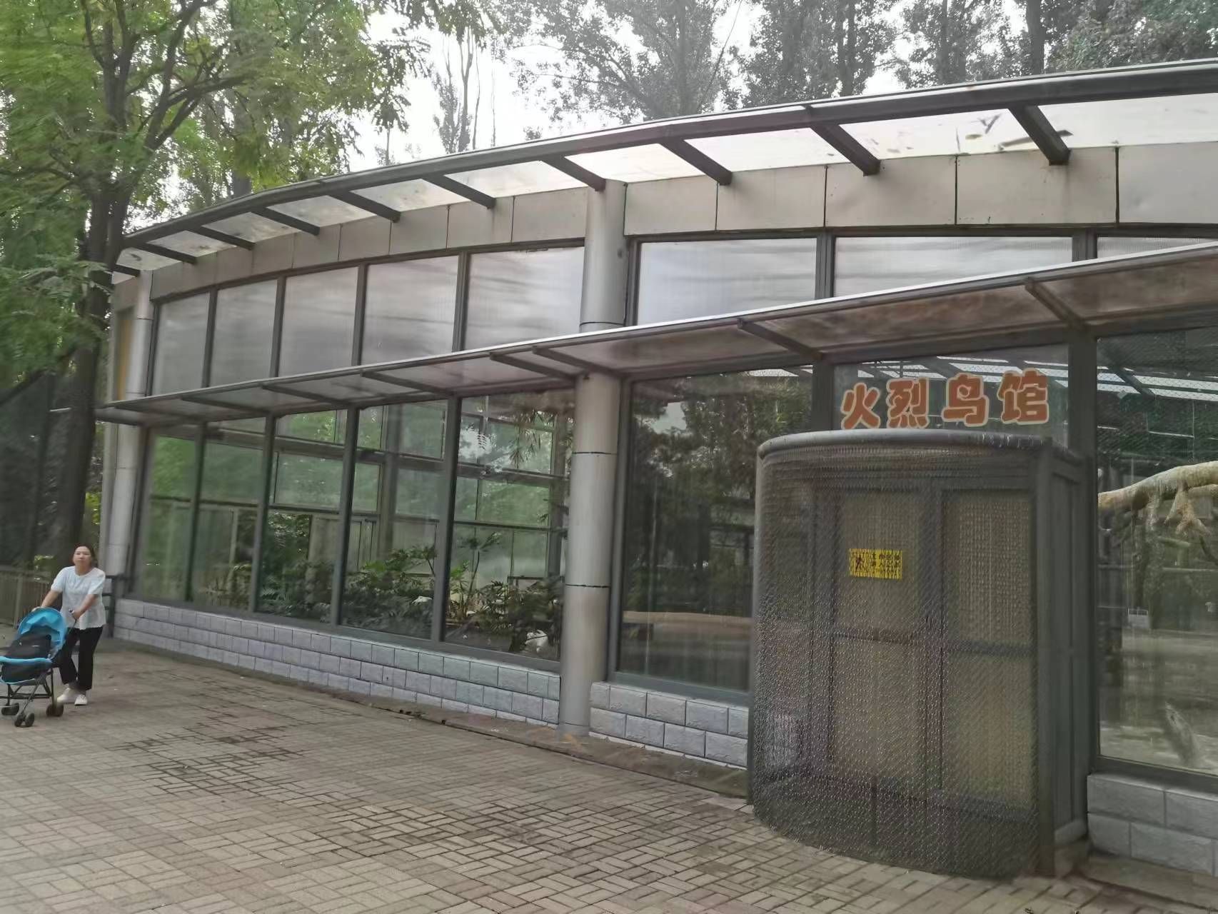 北京动物园-火烈鸟馆