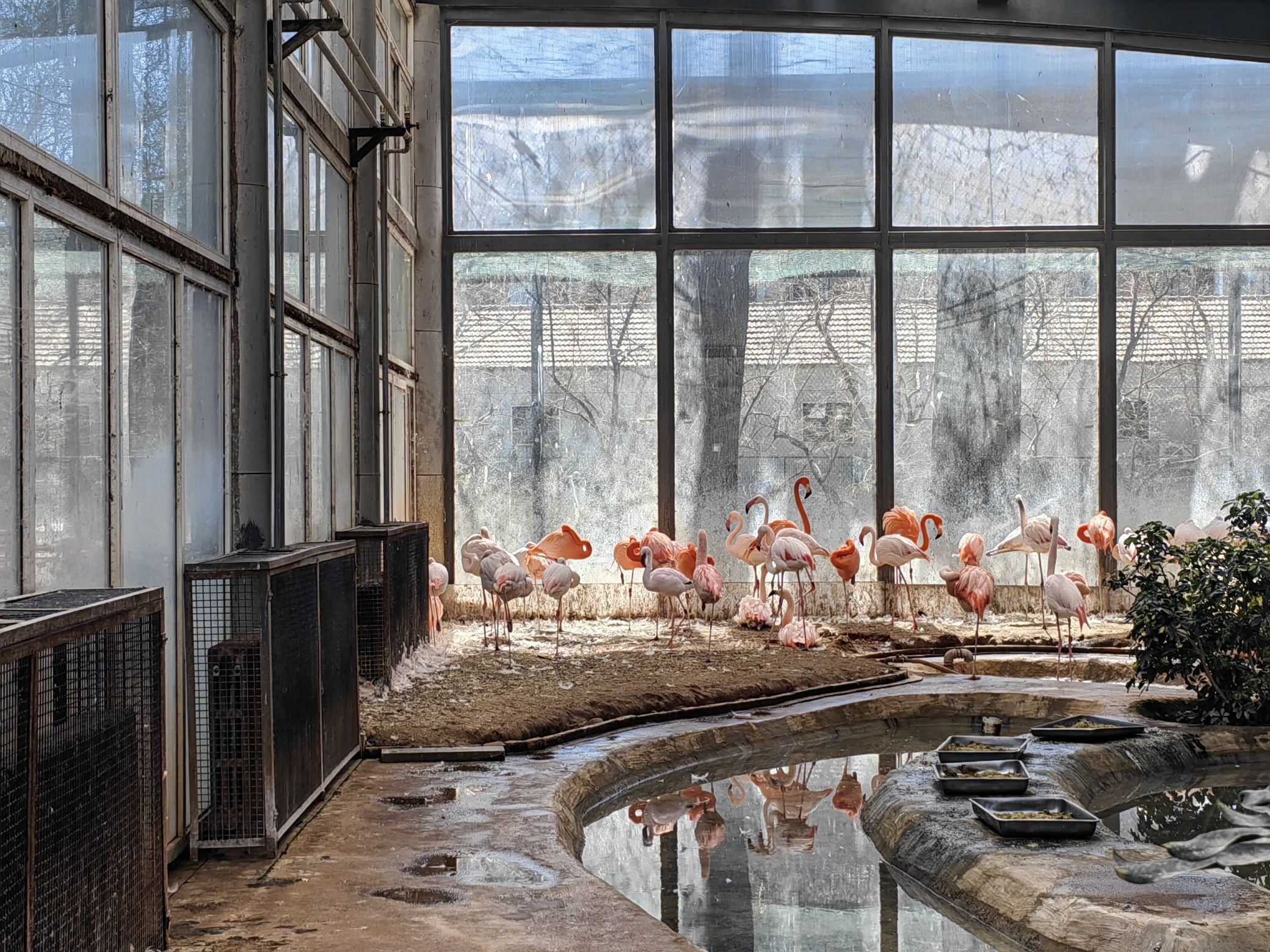 北京动物园-火烈鸟馆