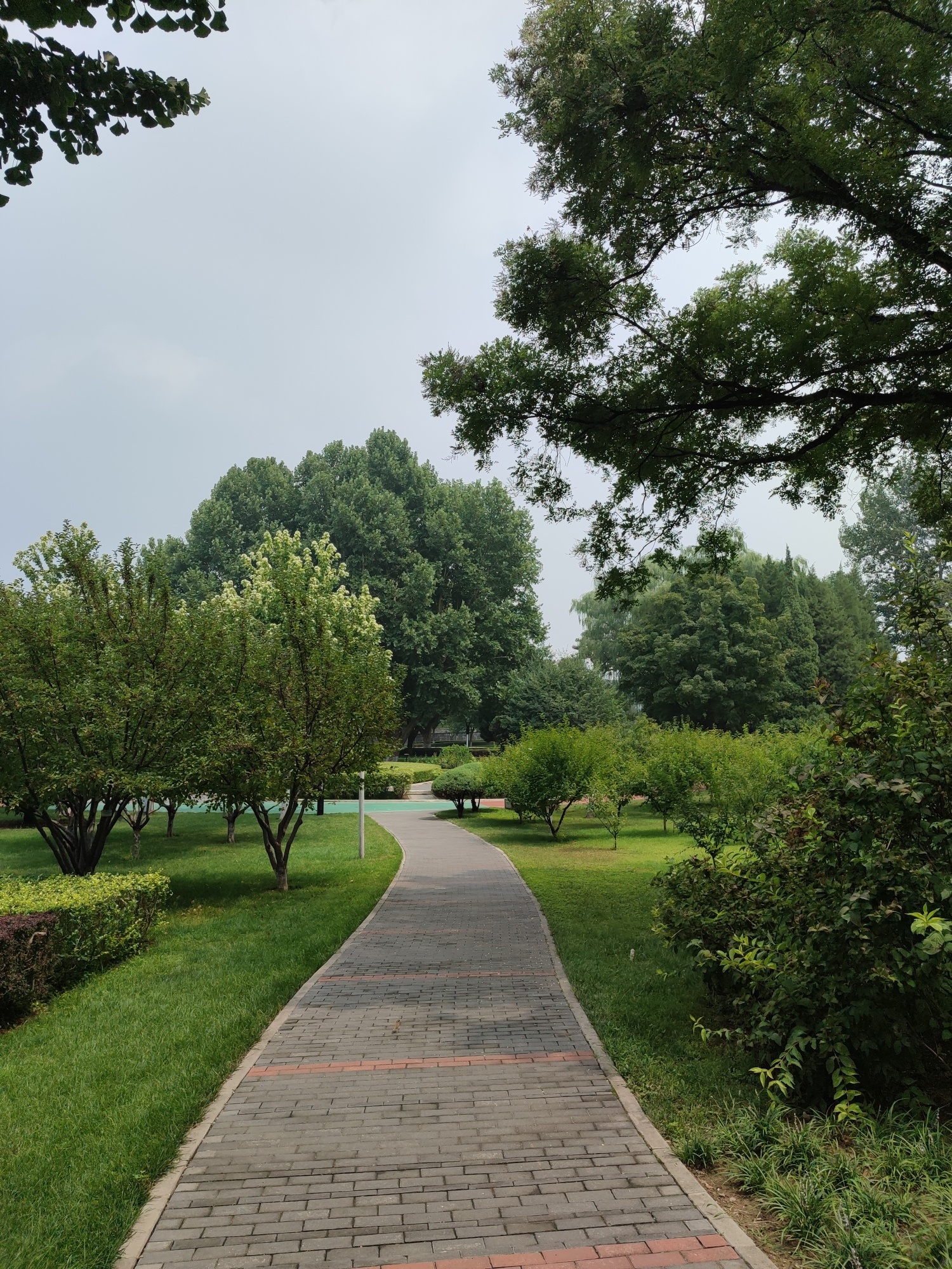 青春路公园旅行图片 1
