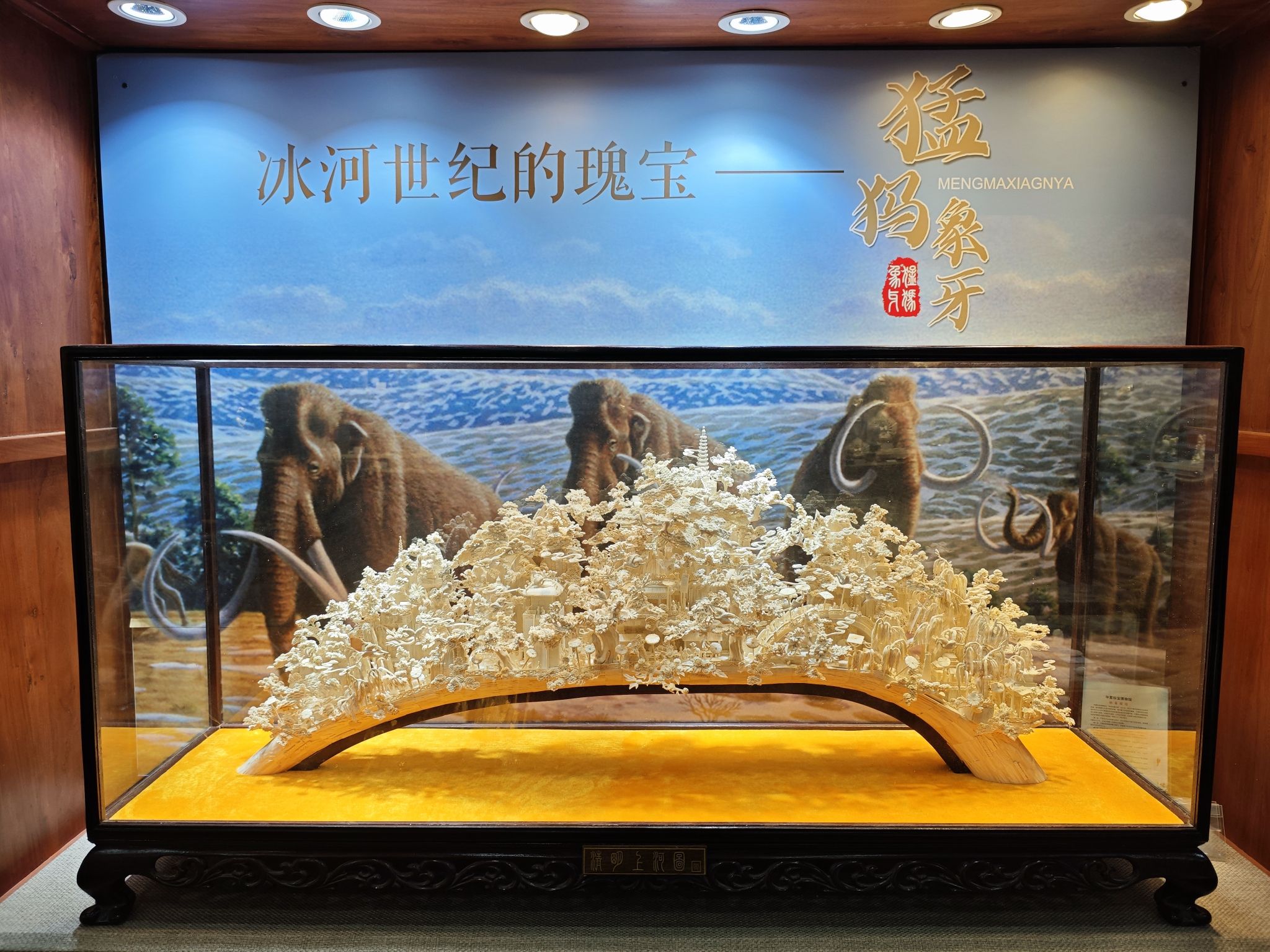 北京华夏珍宝博物馆
