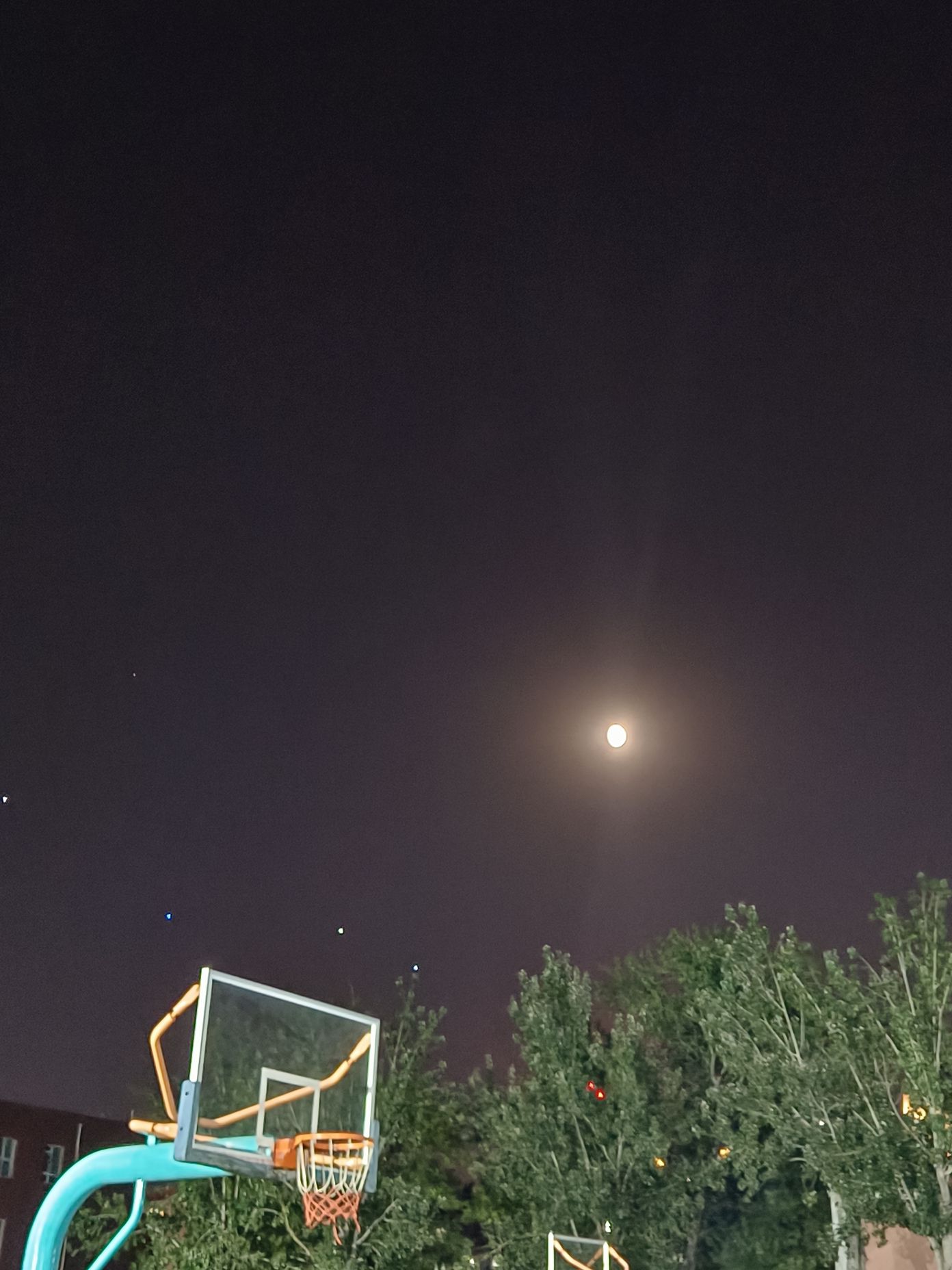 经仪公园旅行图片 1