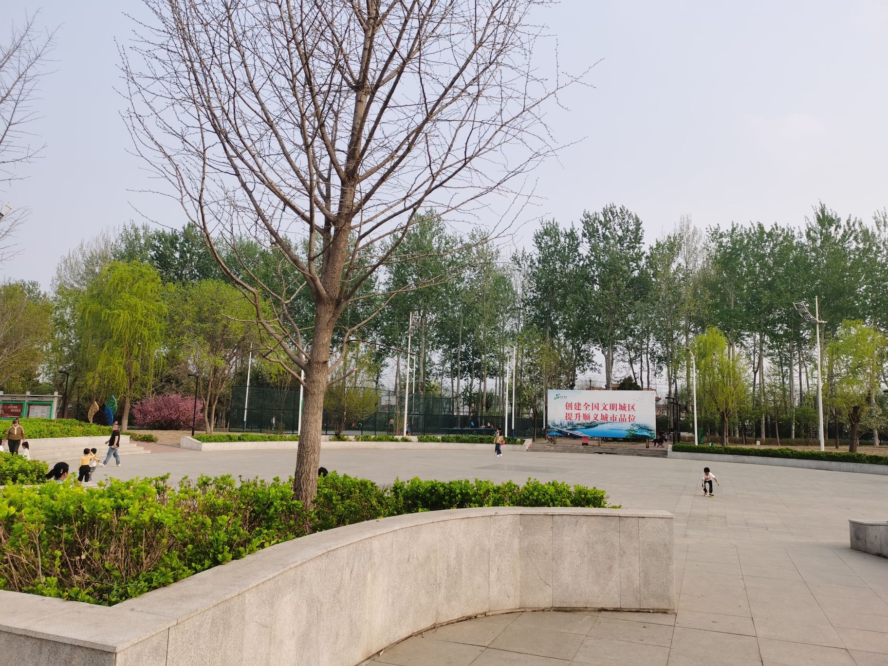双阳公园旅行图片 3