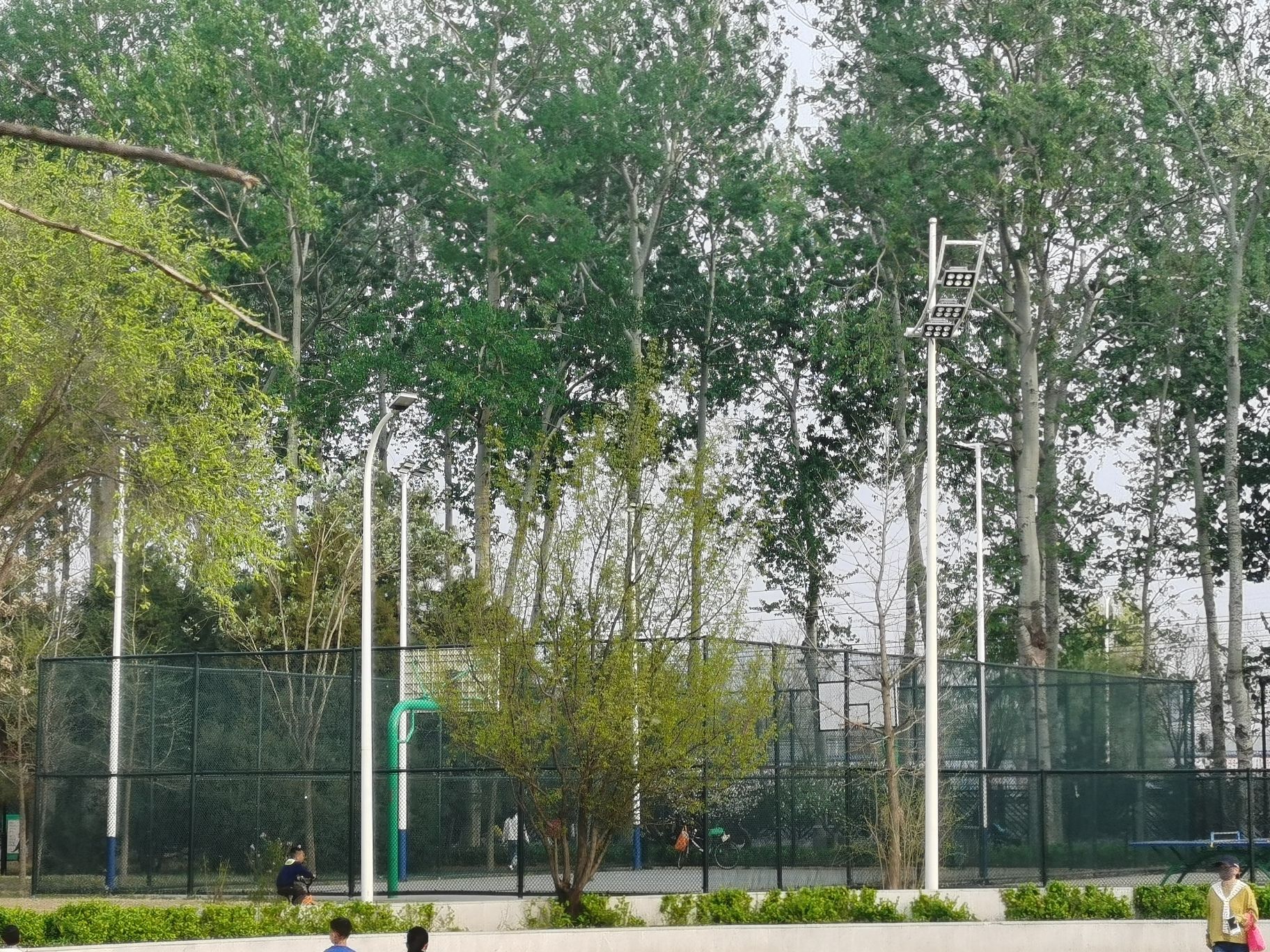 双阳公园旅行图片 2