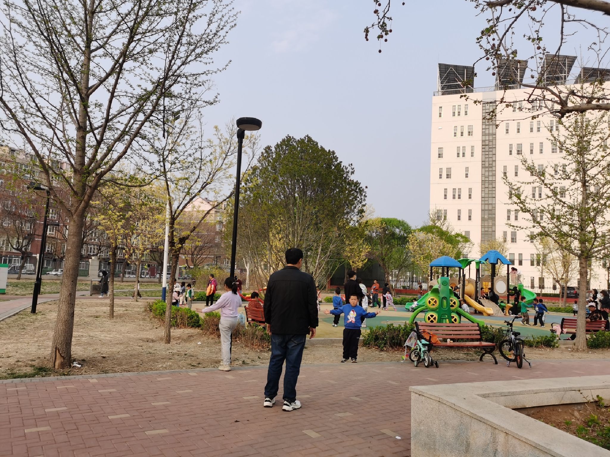 双阳公园旅行图片 1