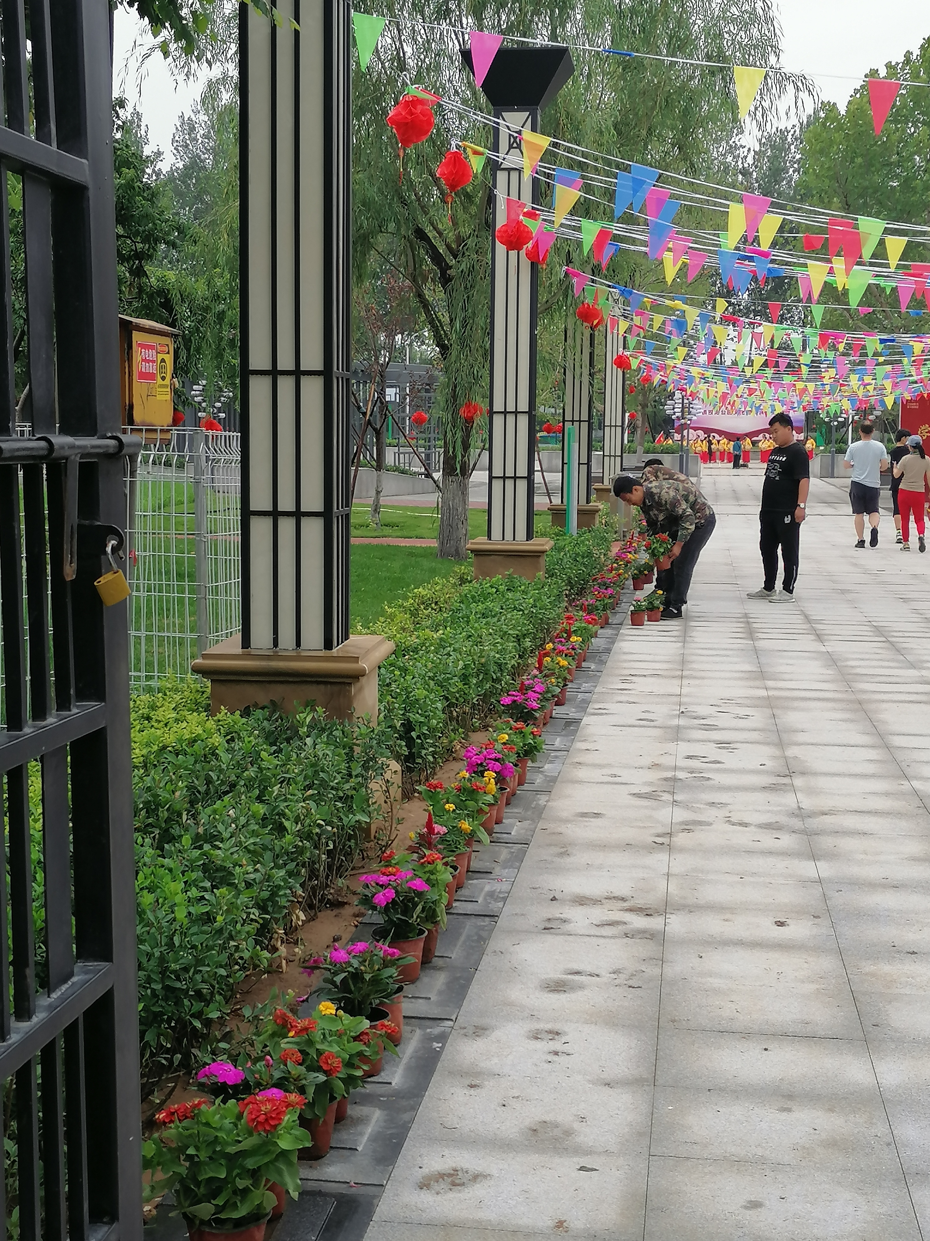 双阳公园旅行图片 3