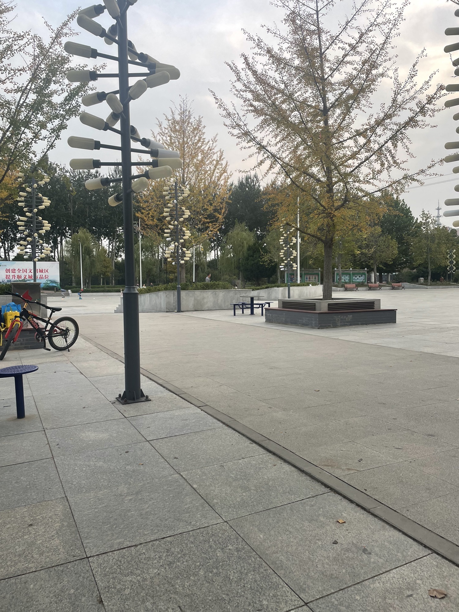 双阳公园旅行图片 1