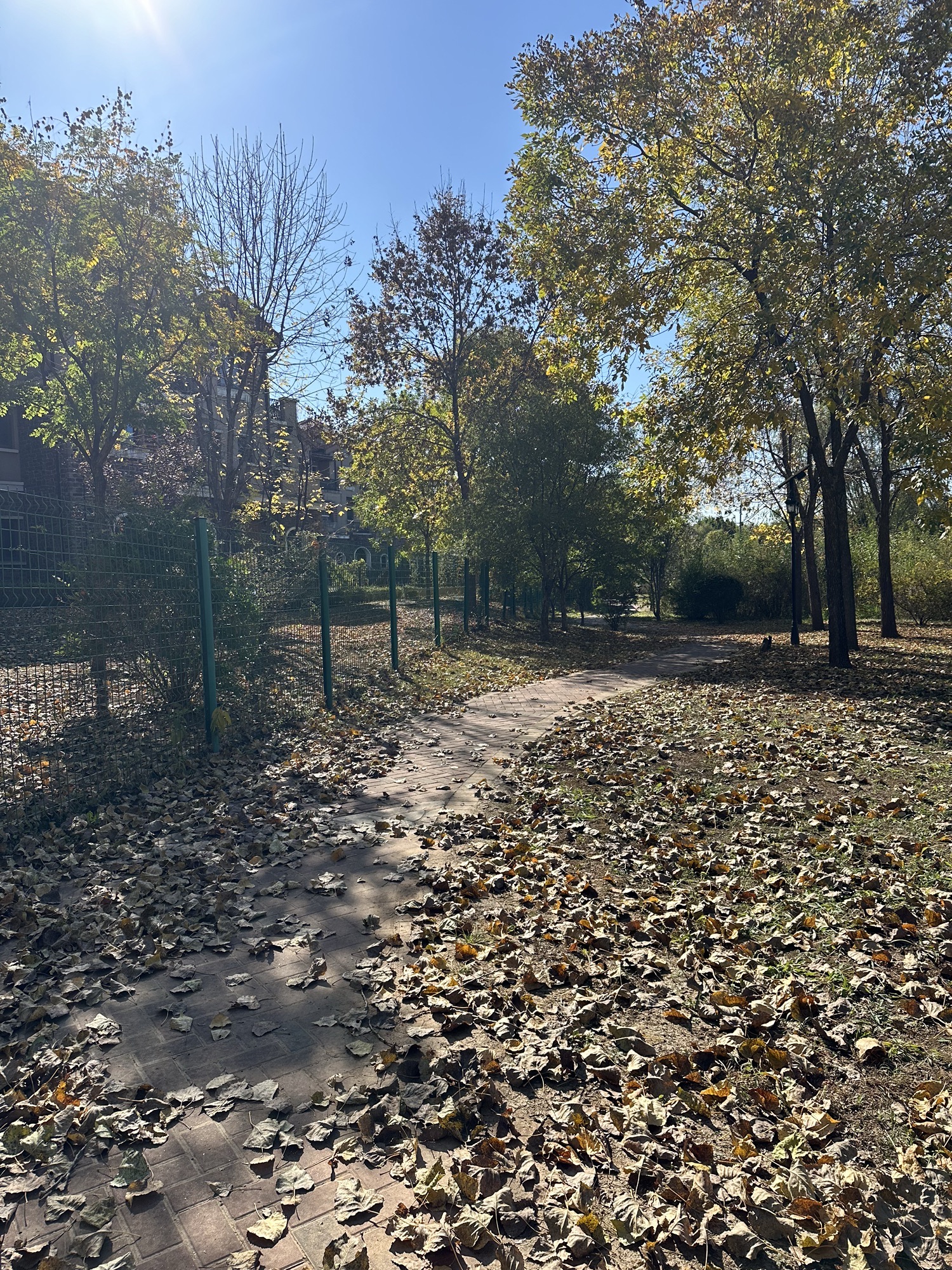 北京长沟泉水国家湿地公园旅行图片 2