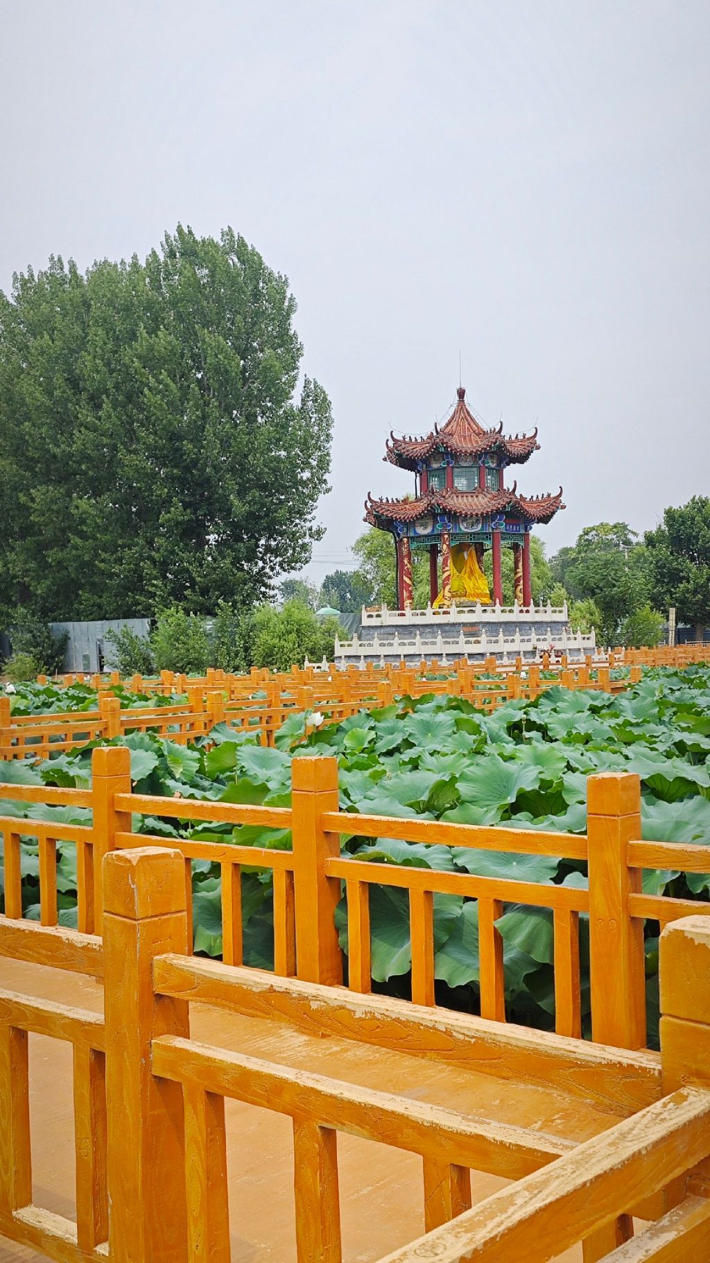 北京长沟泉水国家湿地公园旅行图片 2
