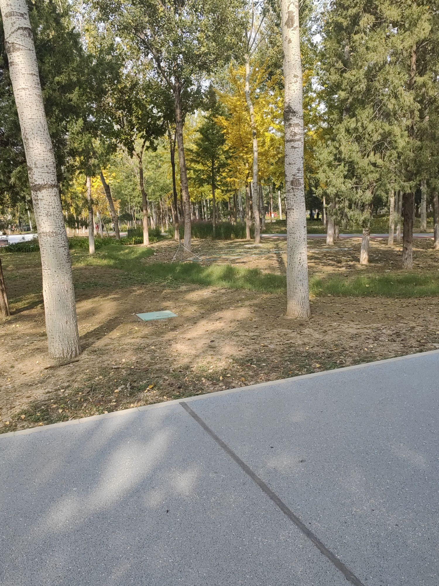 后沙峪人民公园旅行图片 2